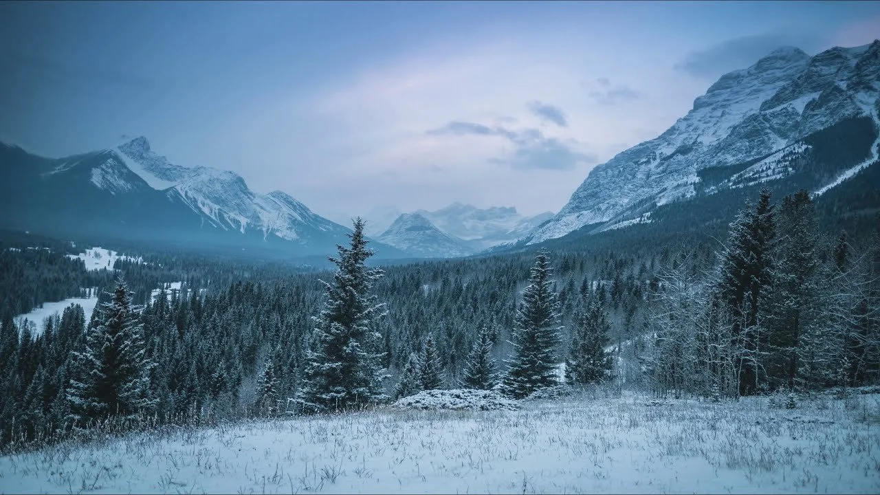 Coping With Holiday Stress: Simple Strategies for a Calmer Season