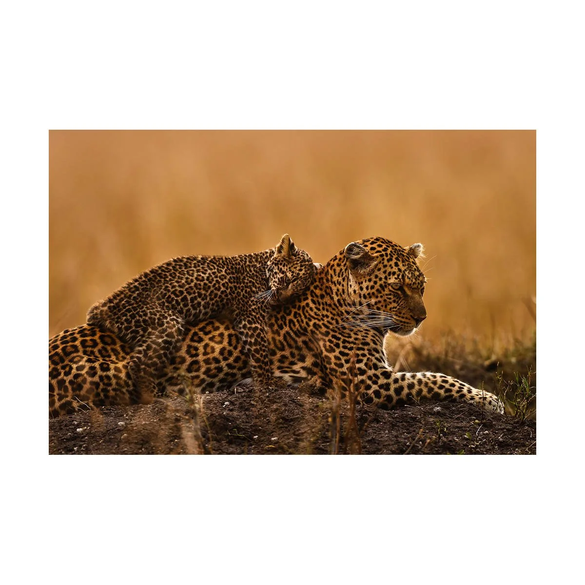 LEAN ON ME