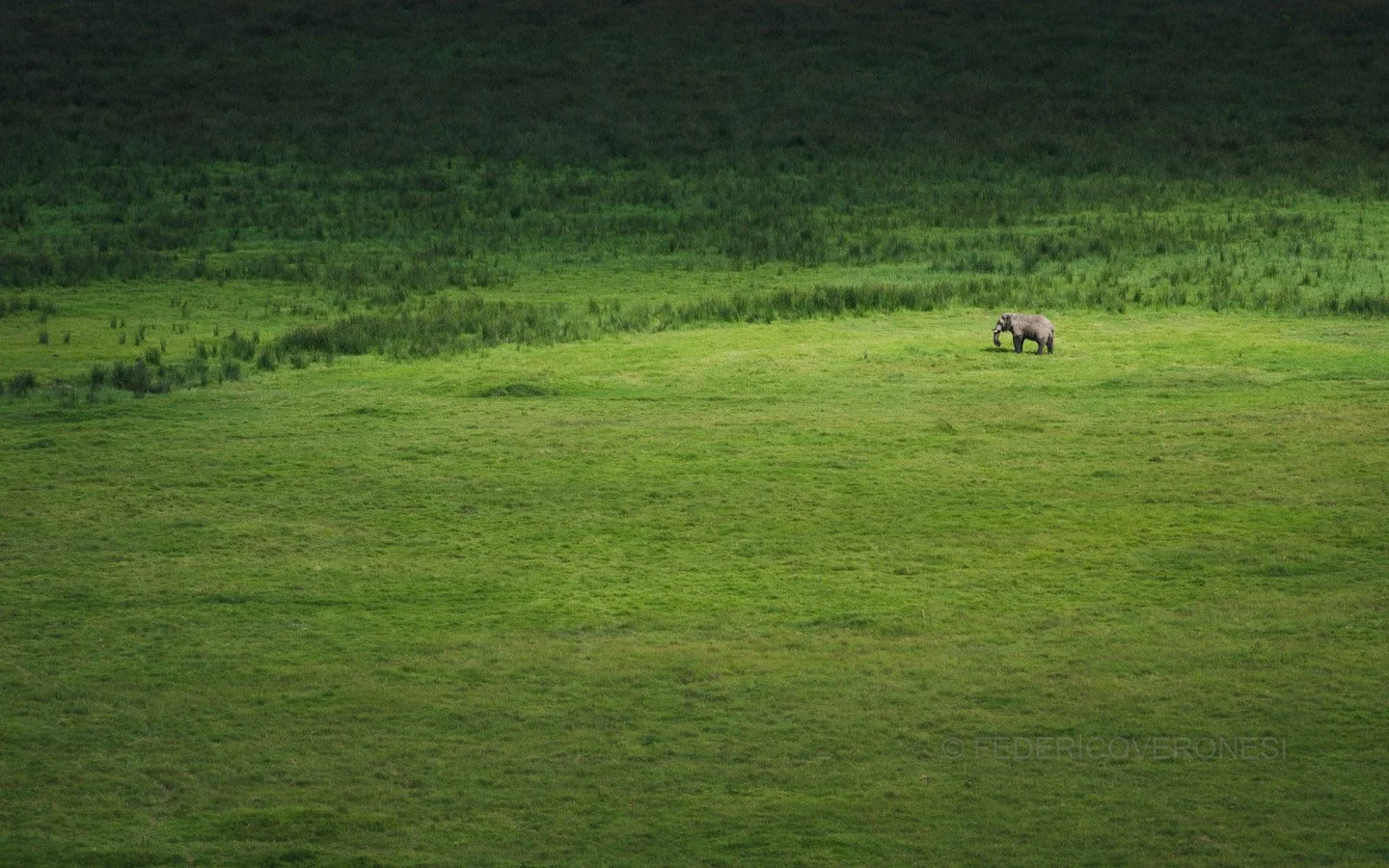 african_wildlife_photo_safaris_Ngorongoro Conservation Area_Tanzania_5303.jpg