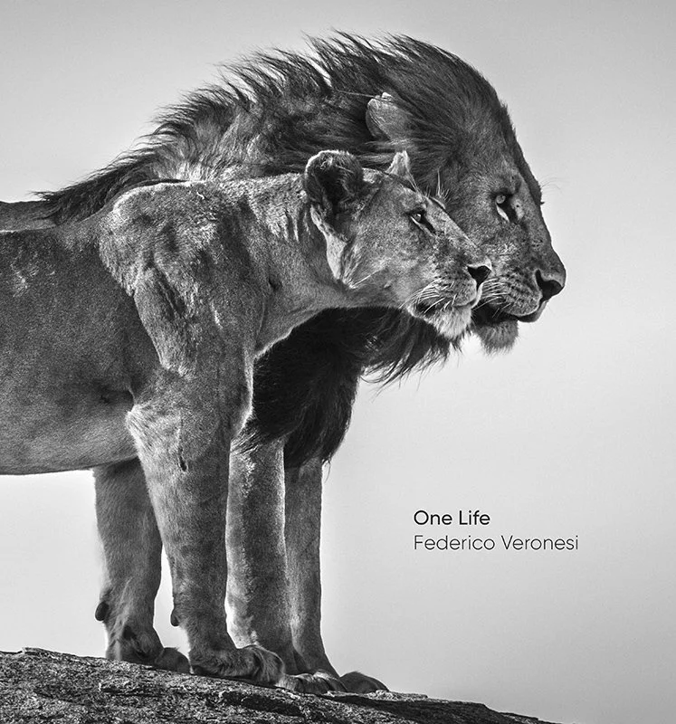 One Life (Shipping to Kenya or Italy)