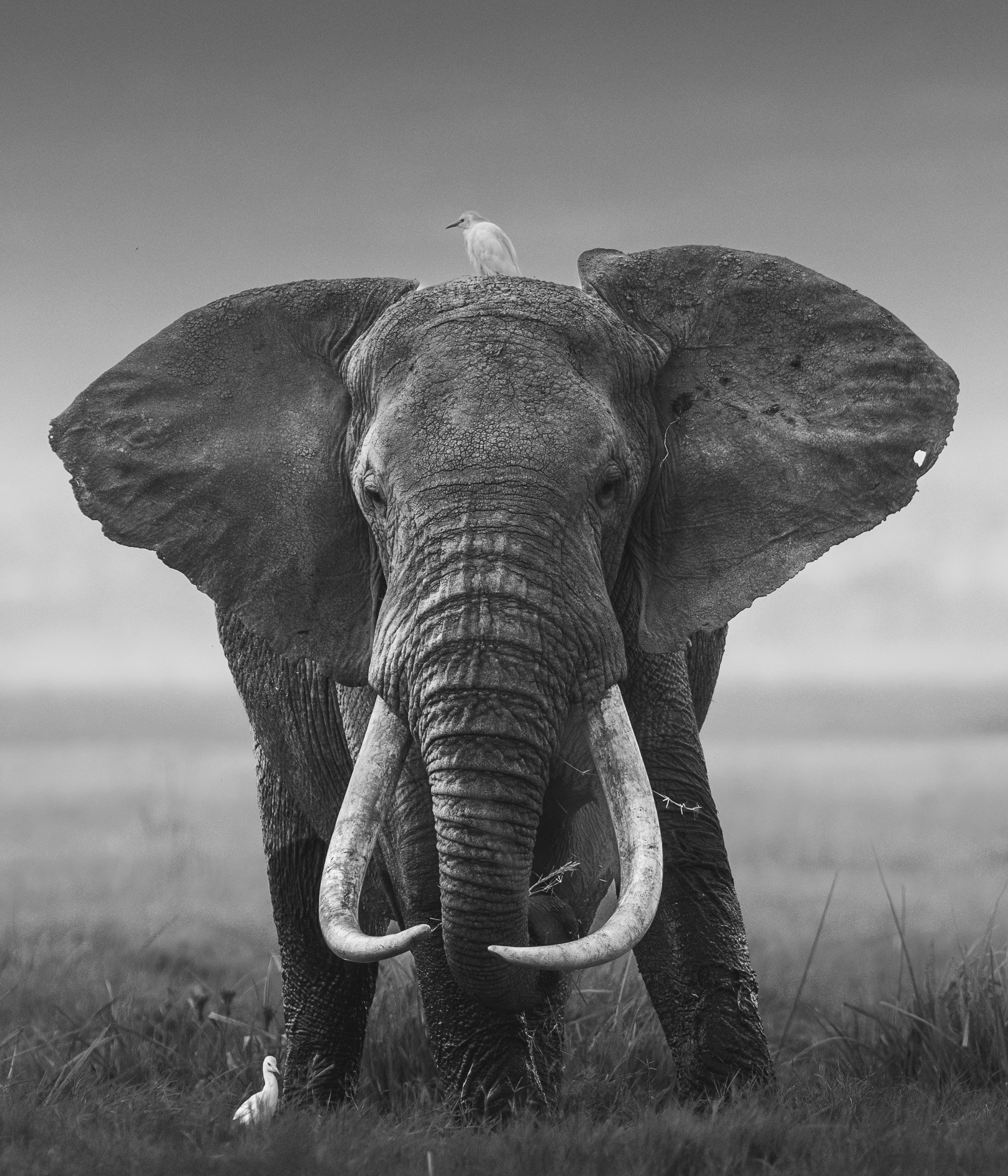 20110317_7650.jpg