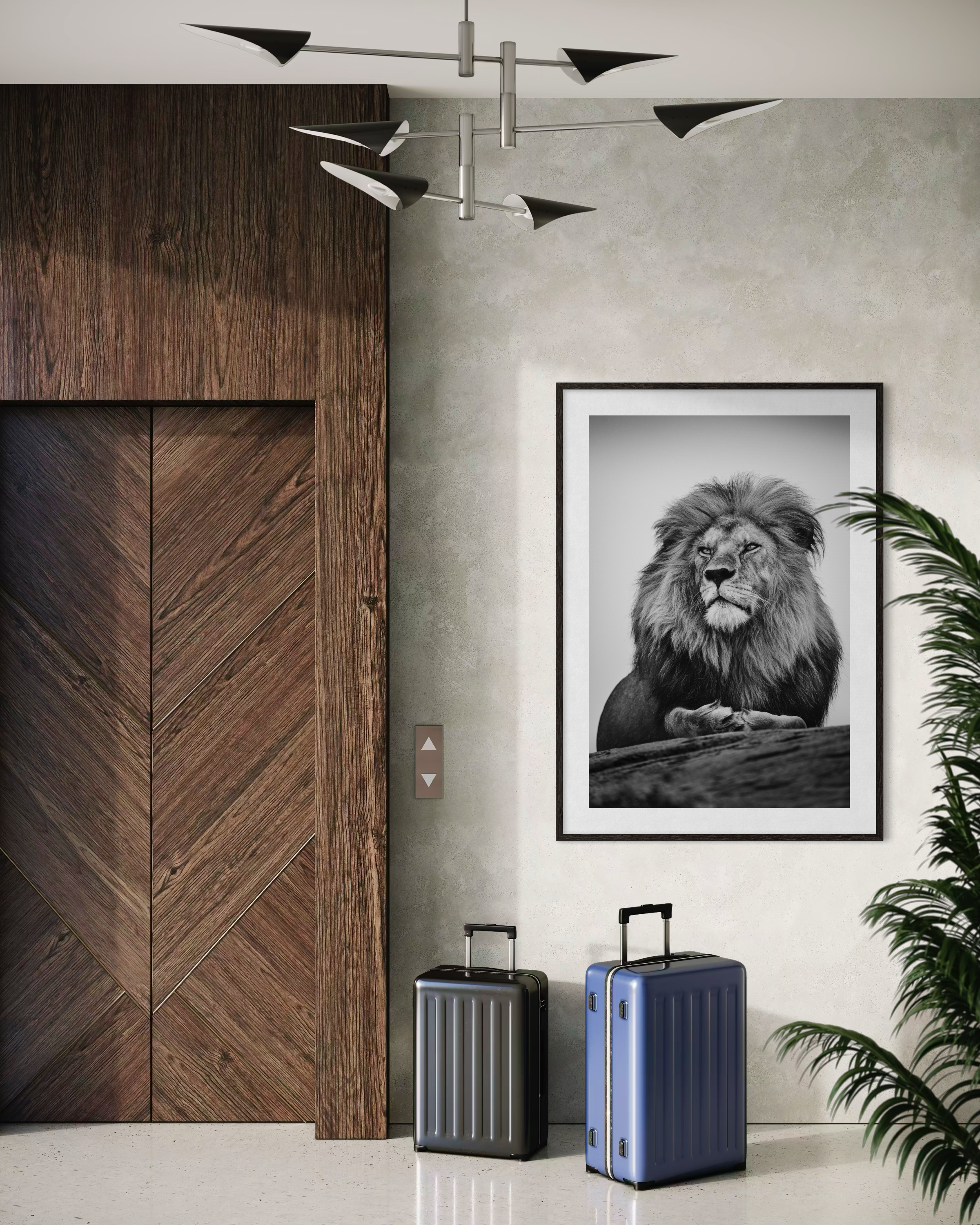 MaleLionRock_Mockup03.png