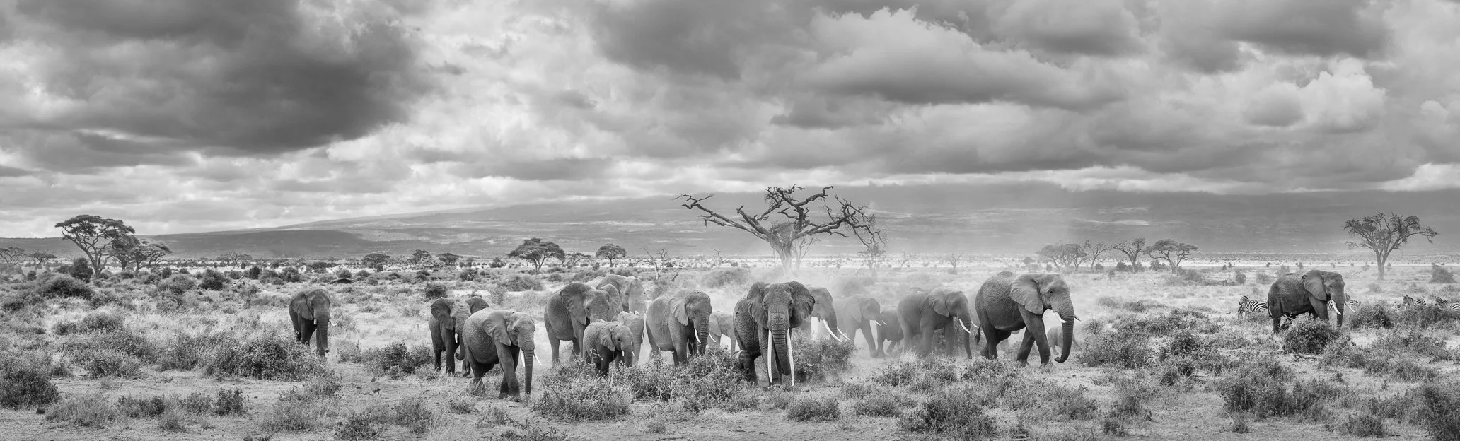 20120216_2101-2-Edit-Pano-Edit.jpg