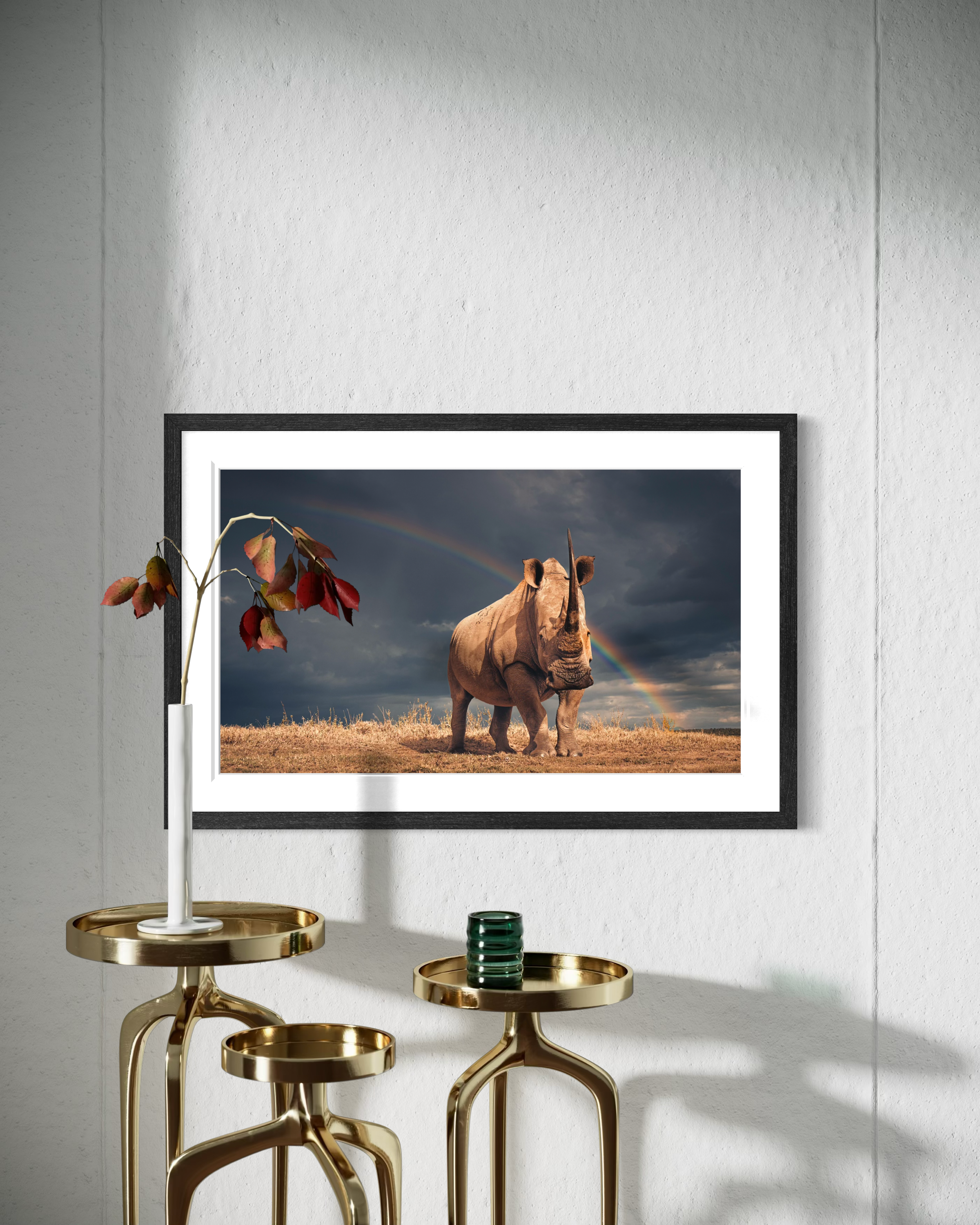 RhinoRainbow_Mockup_03.png