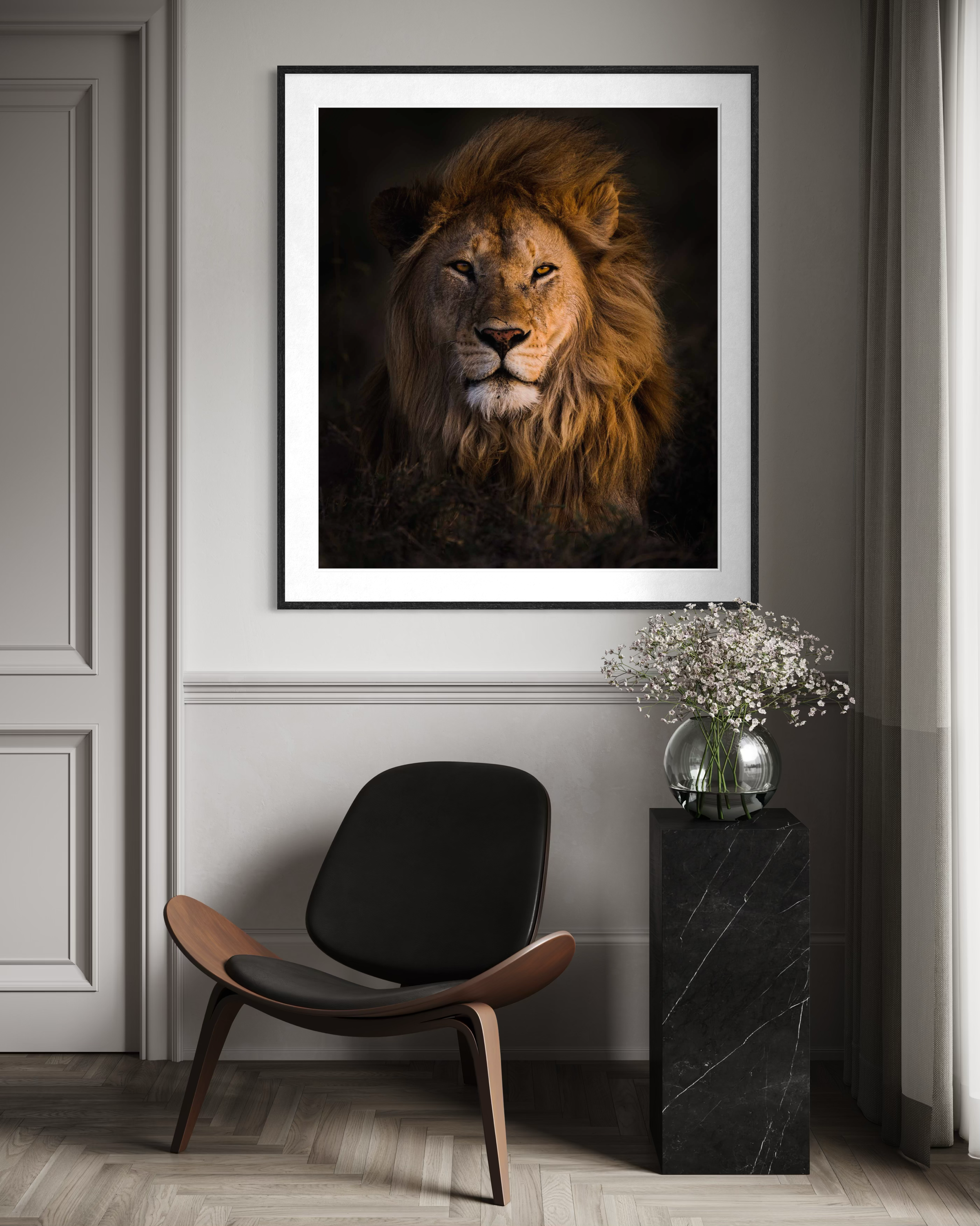 RememberingLions_Mockup01.png