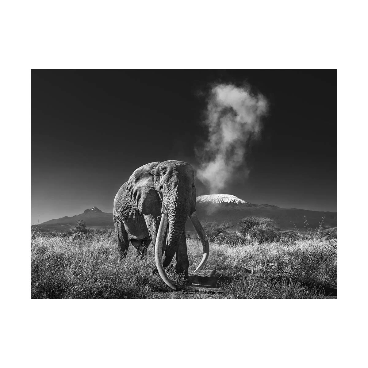 KILIMANJARO ERUPTION