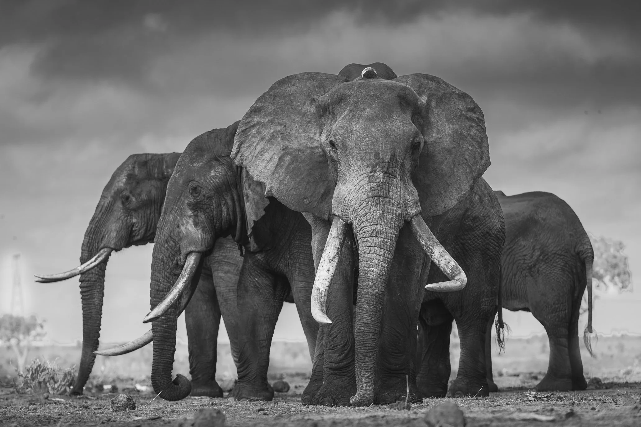 20190920_8800246_3656.jpg