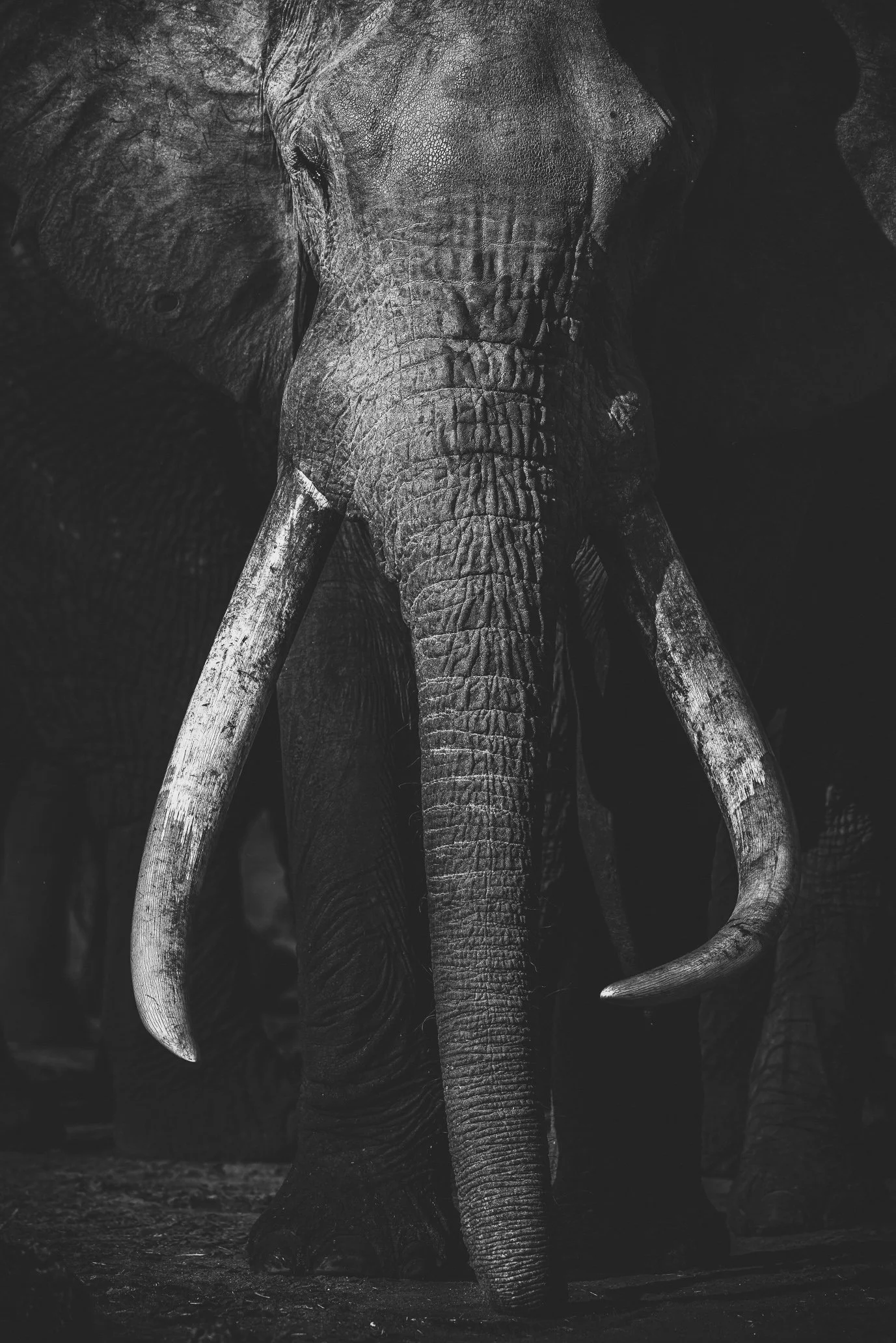 20190920_8004271_7064-Edit.jpg