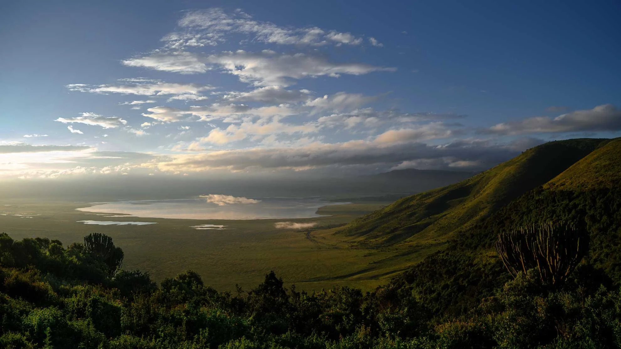 20260416_23000773_3001-Pano.jpg