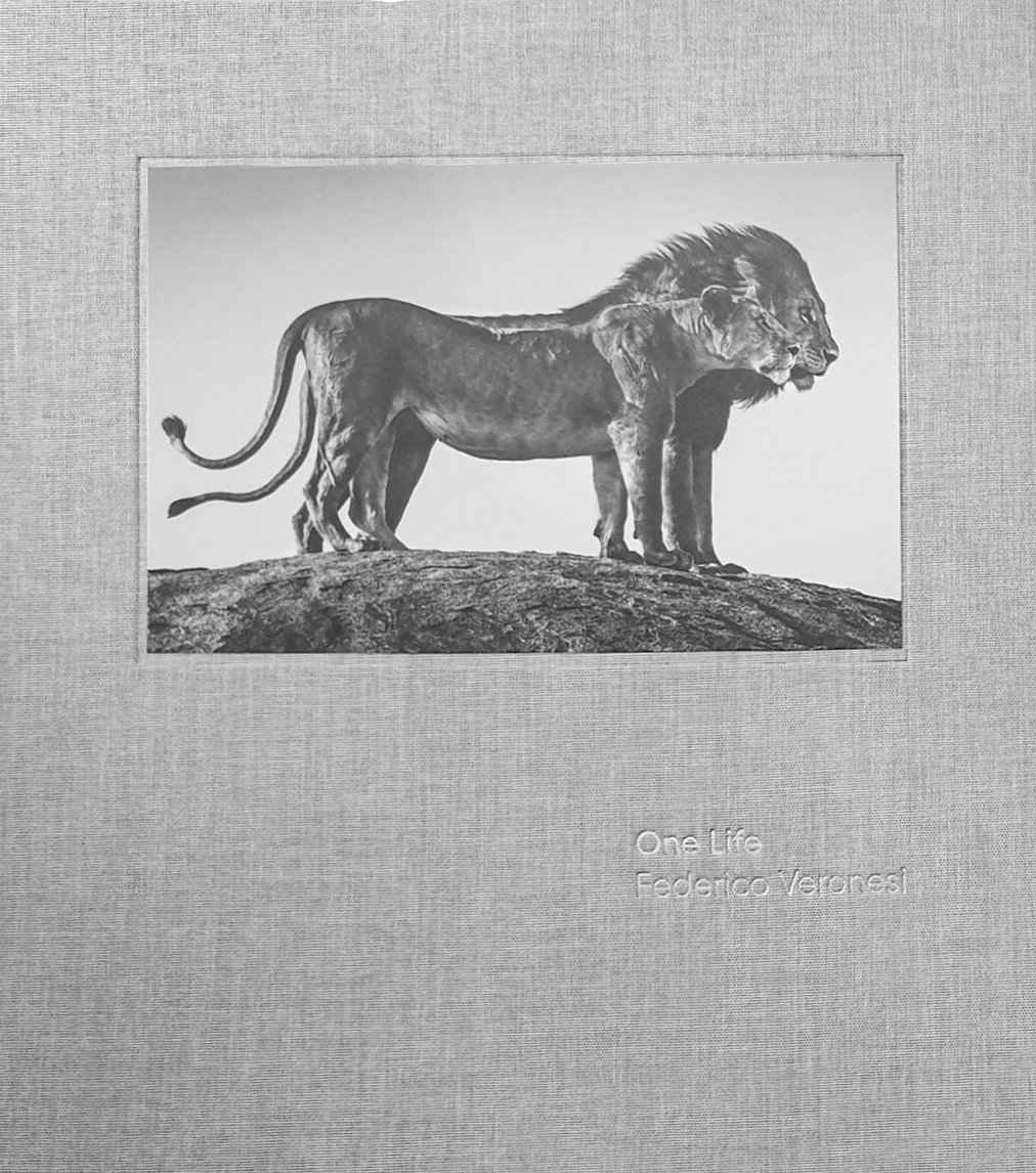 ONE LIFE (Limited Edition)