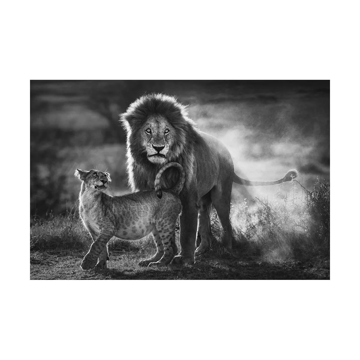 FATHER AND SON