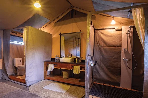 serengeti-migration-luxury-camp_photo-safari_01.jpg