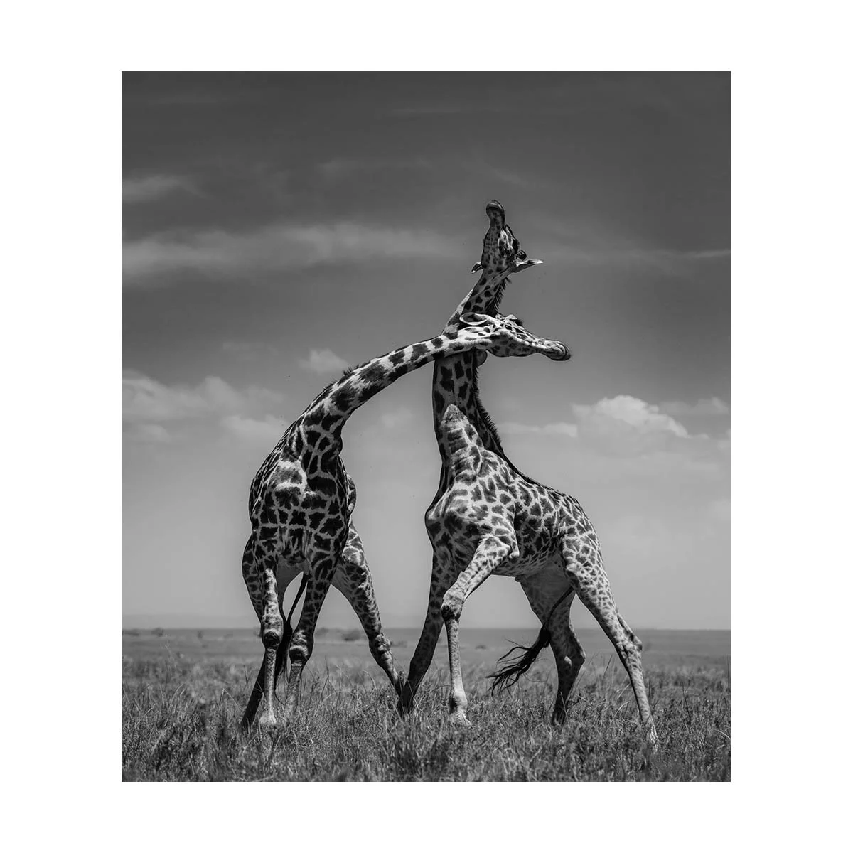 NECKING I