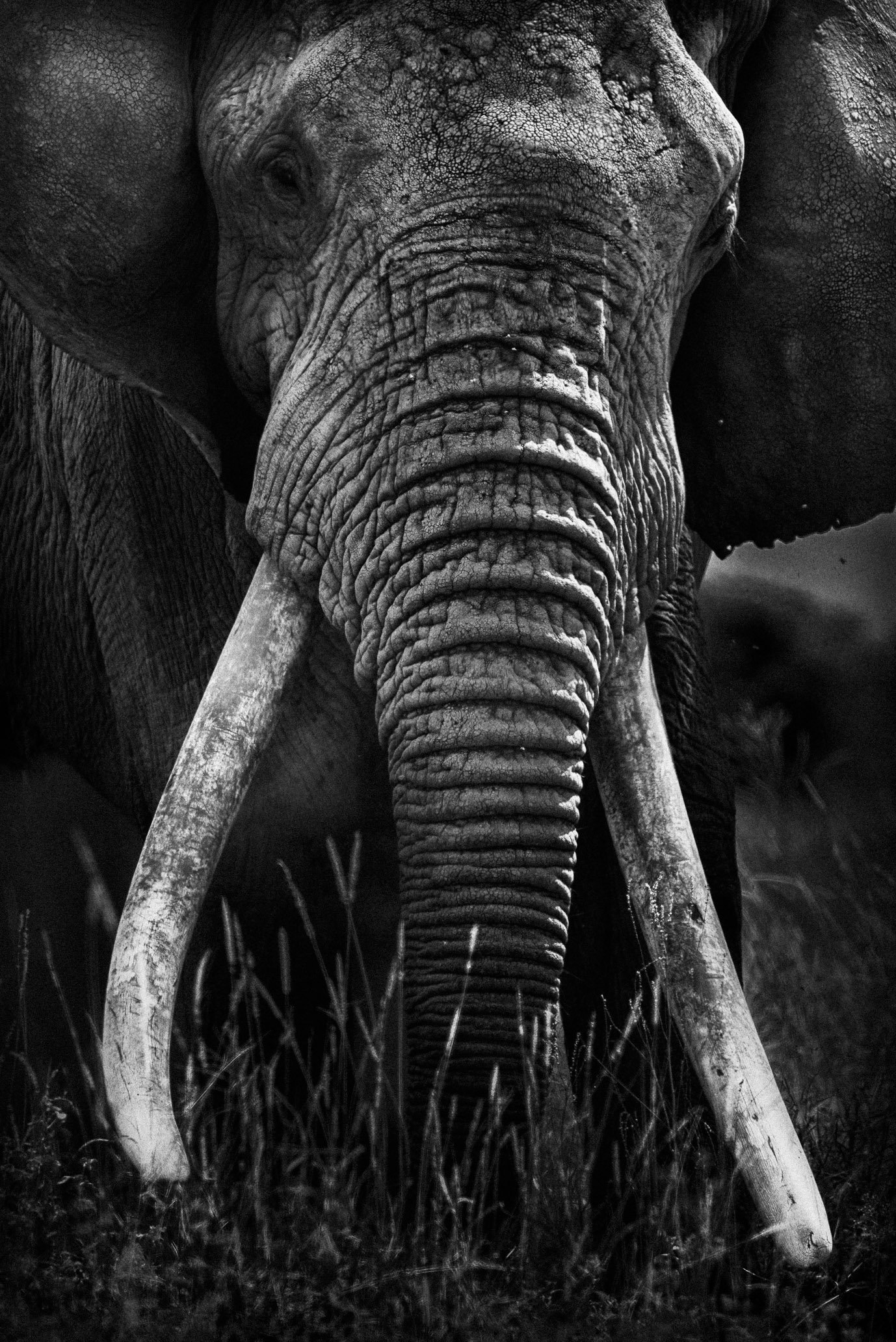 20180616_8004271_0318-Edit.jpg