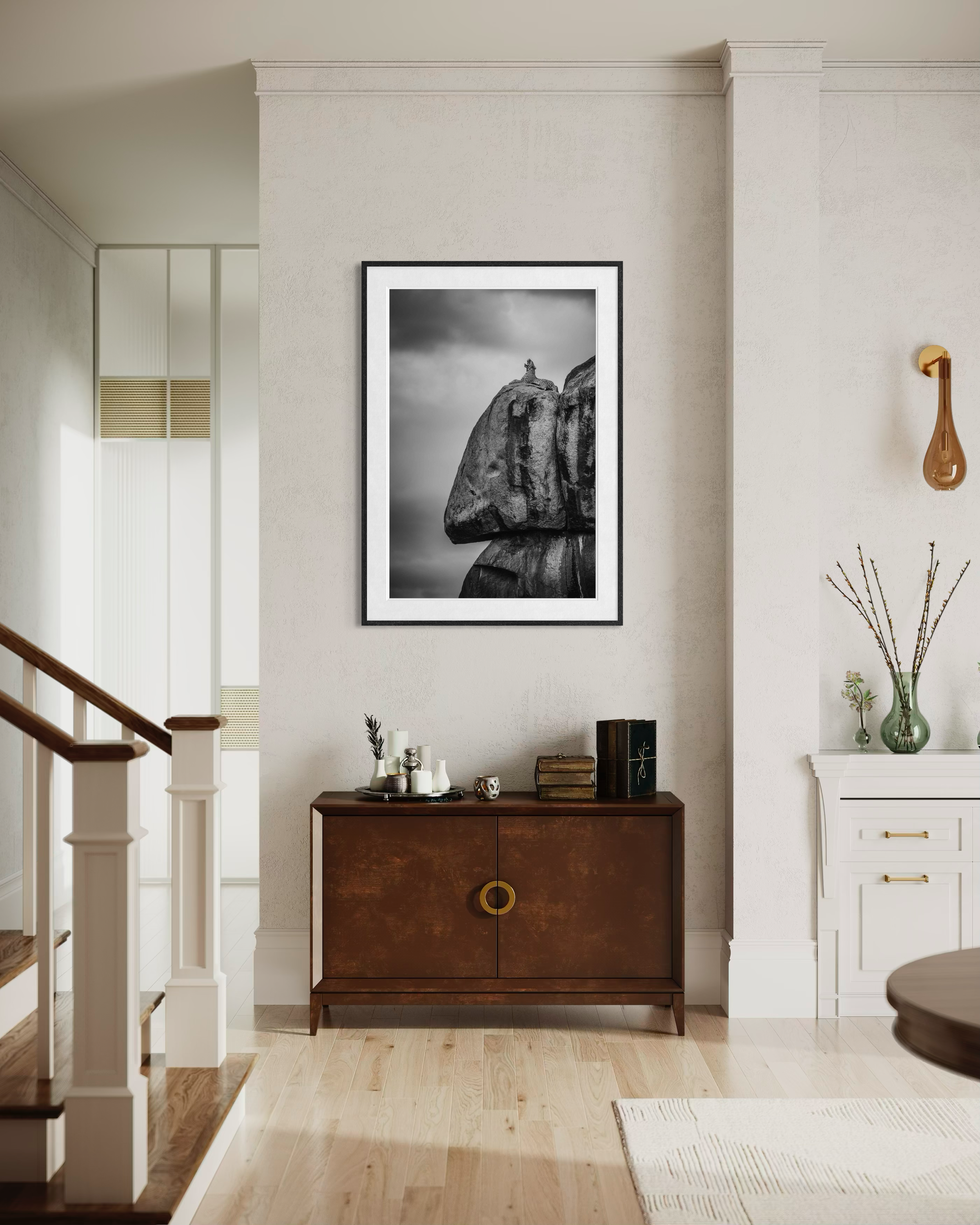 LeopardYawningRock_Mockup01.png