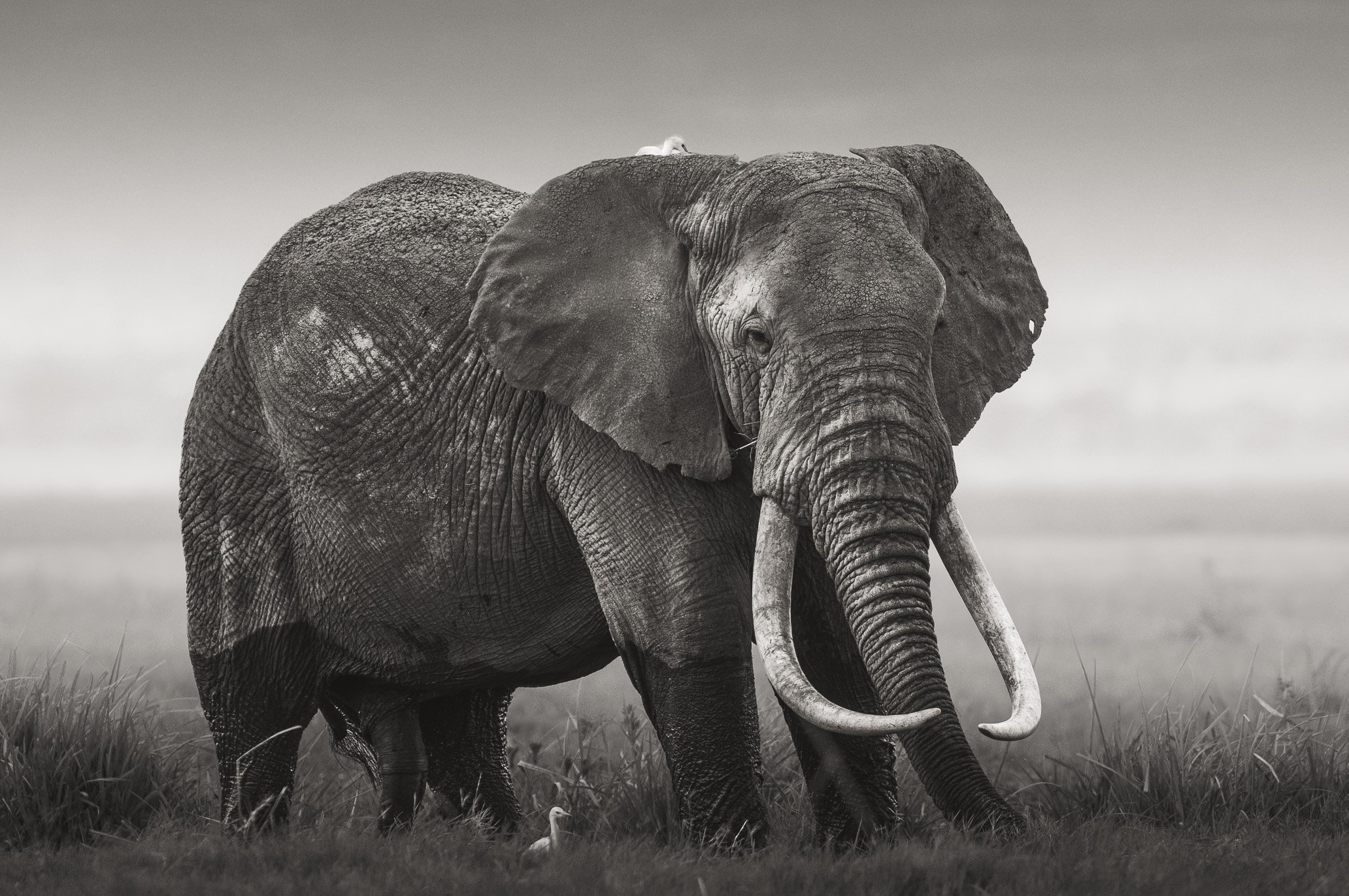 20110317_7646.jpg