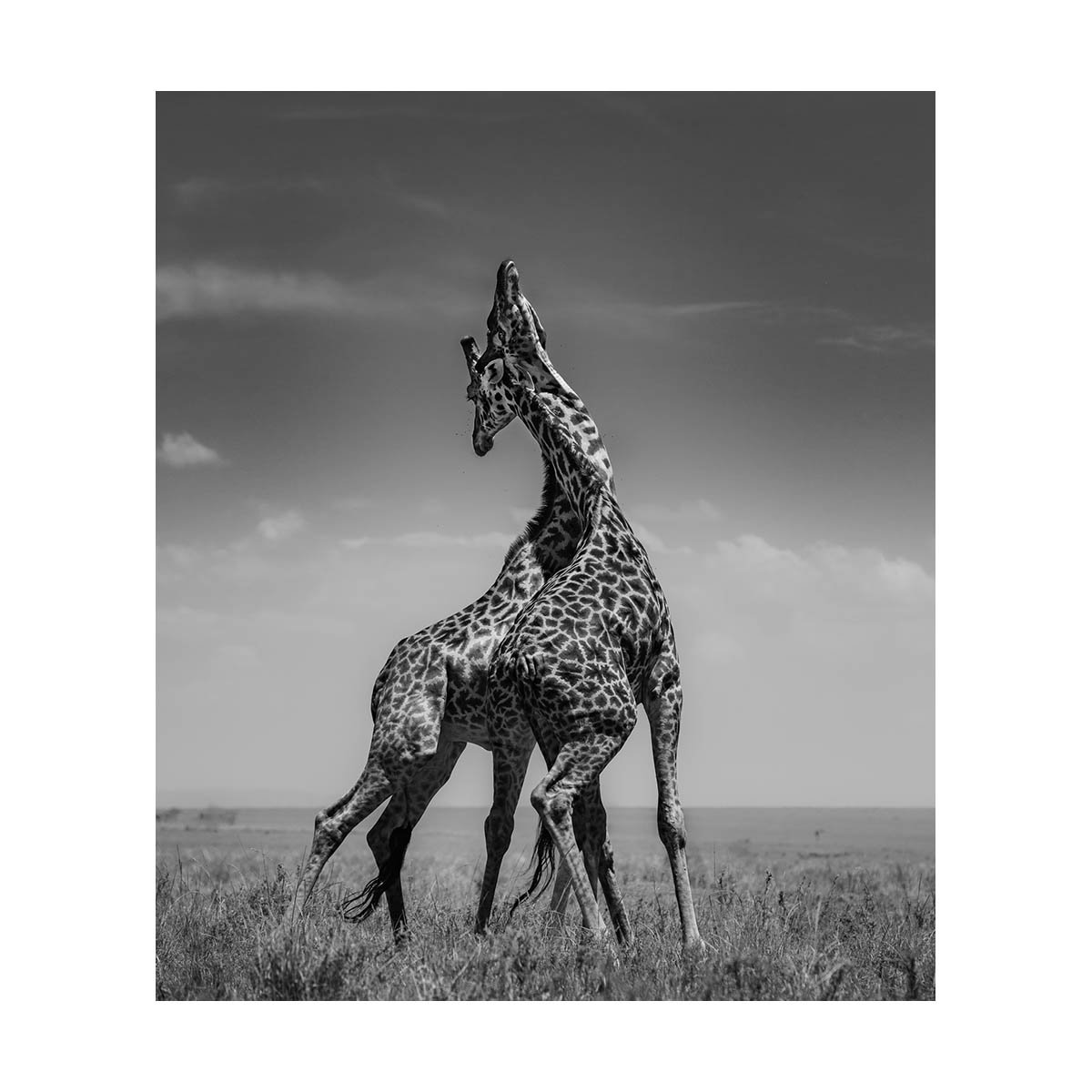 NECKING II