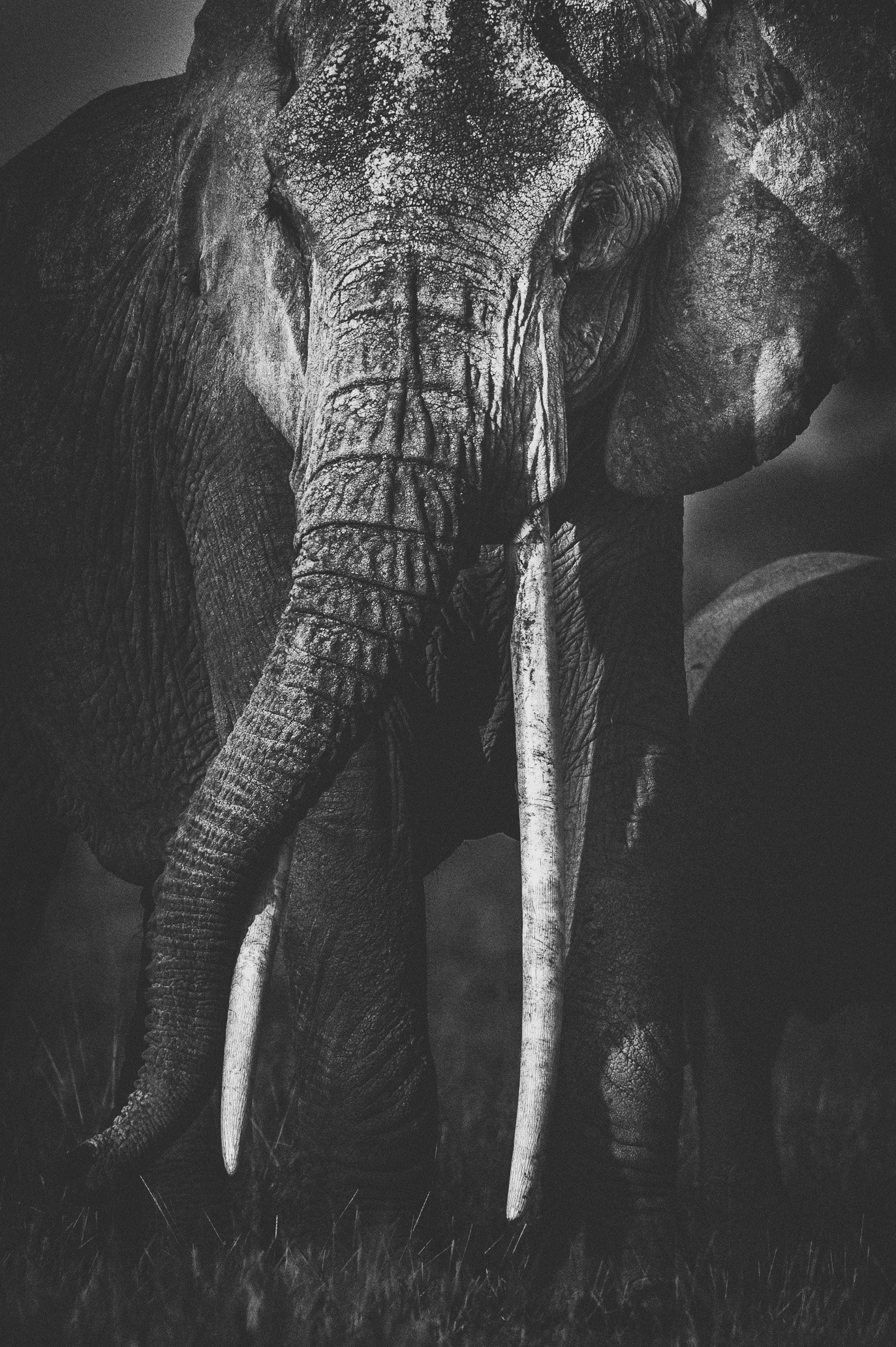 20100313_8243-Edit.jpg