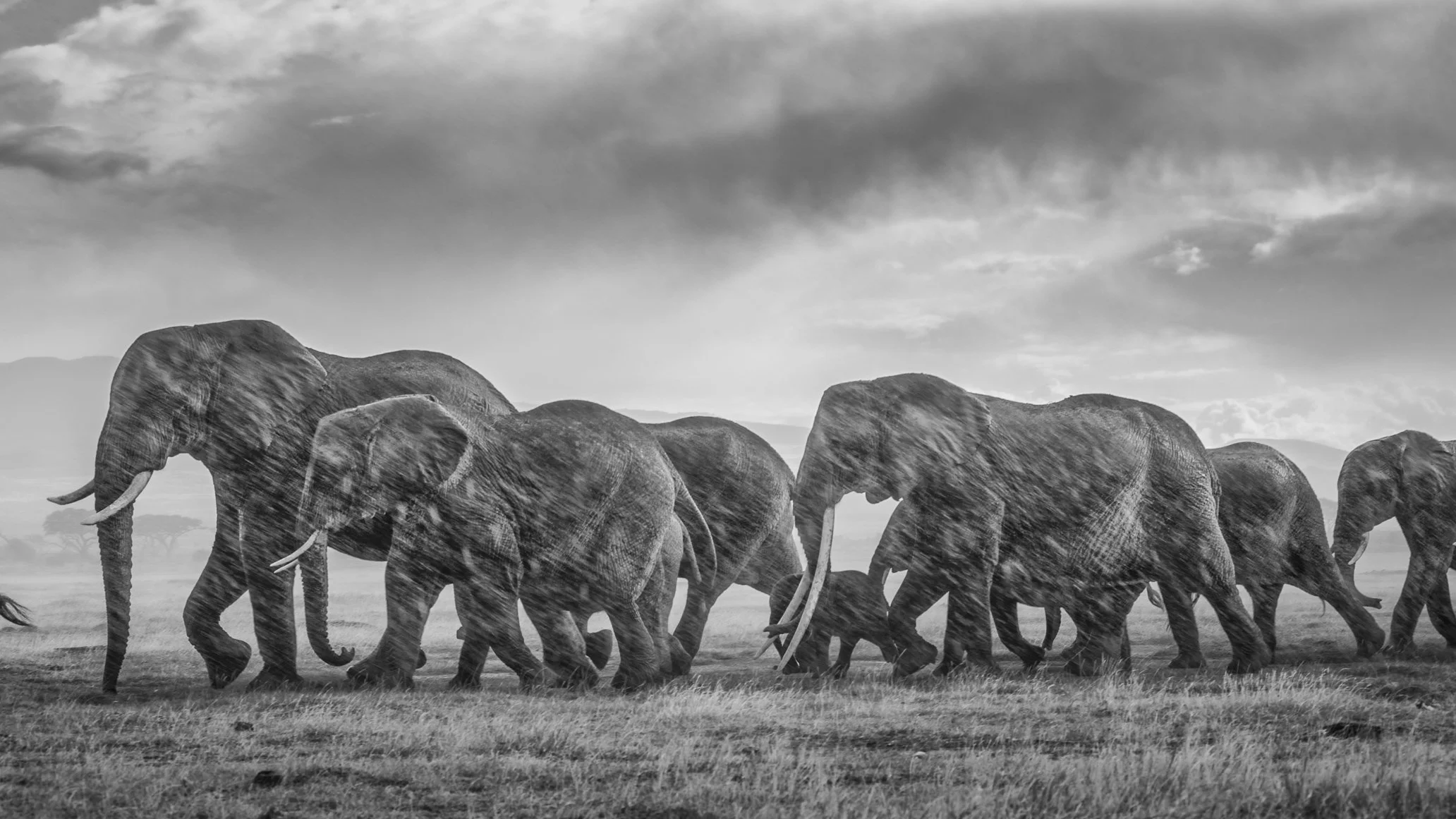 20120218_3392-Edit-2.jpg