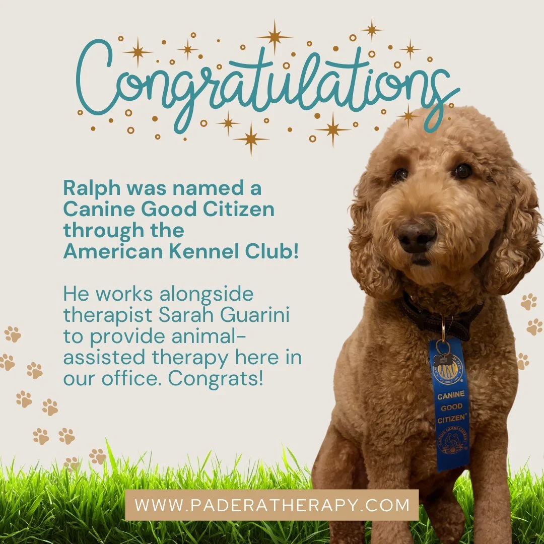 Ralph the Therapy Dog was already awesome, but now he's even cooler! Ralph was recently named a Canine Good Citizen, passing his test through the American Kennel Club! Canine Good Citizen is a 10-skill test that teaches good manners to dogs and respo