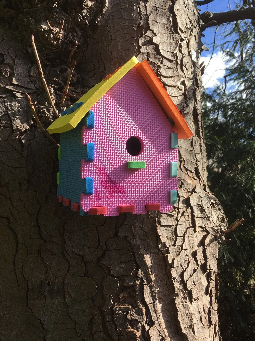 Bird box on tree flipped web.jpg