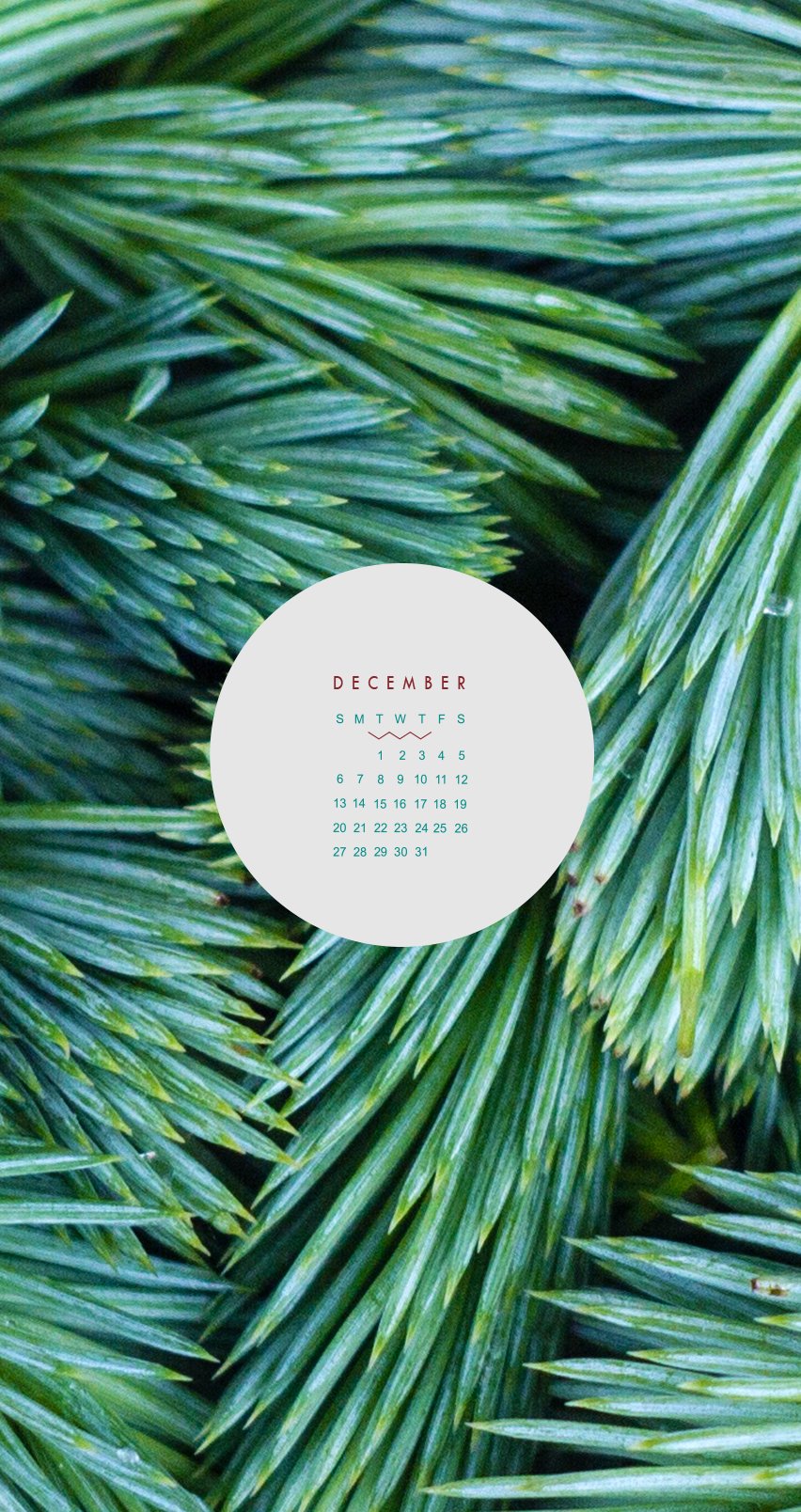 DEC-iphone-calender-wallpaper-june-mango-design-1.jpg