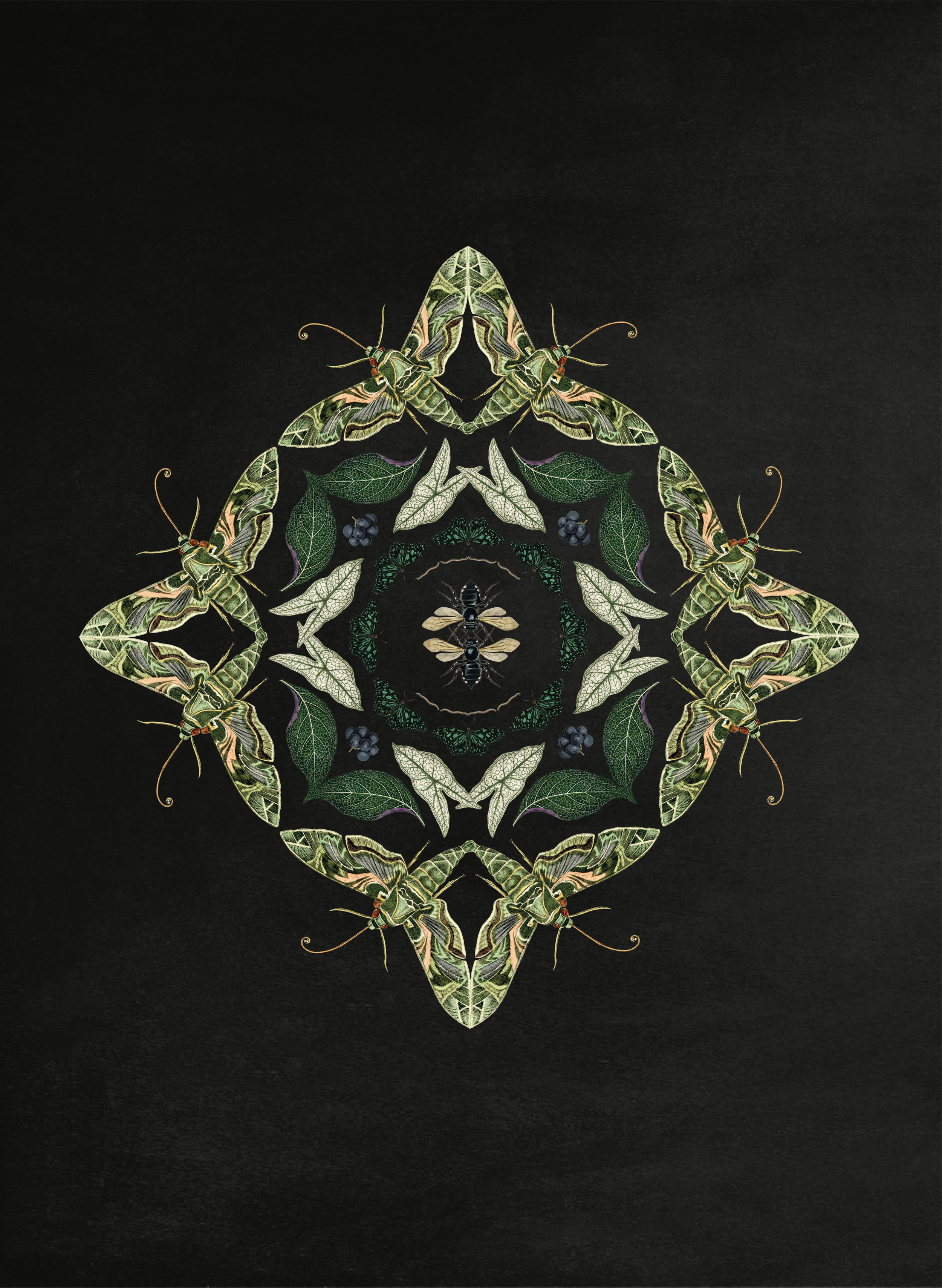 BEGIN-02.png