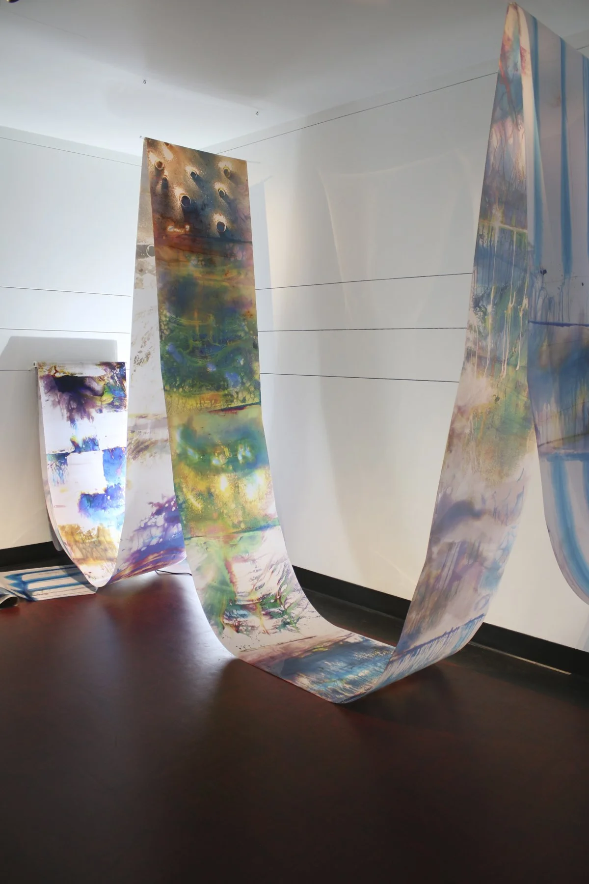  Swope Art Museum, Terre Haute, IN, Mariah Robertson, photography, art  