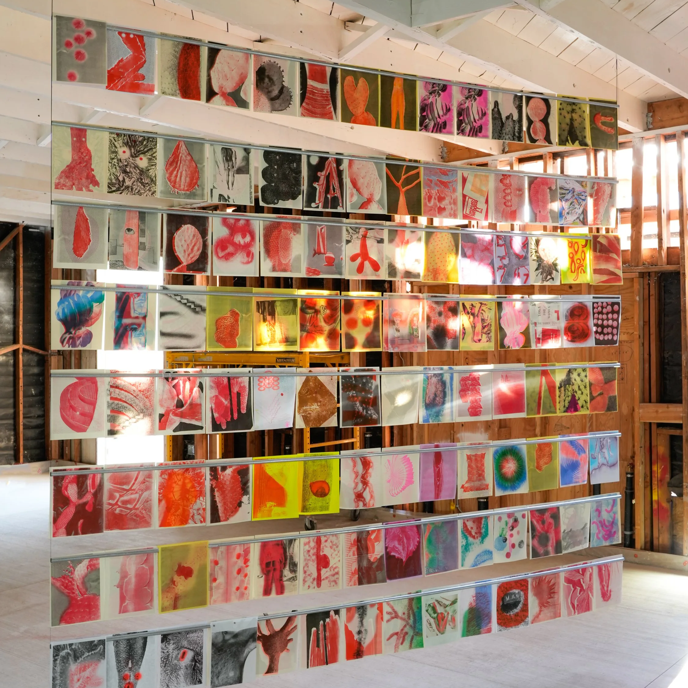 Risograph Installation & Book