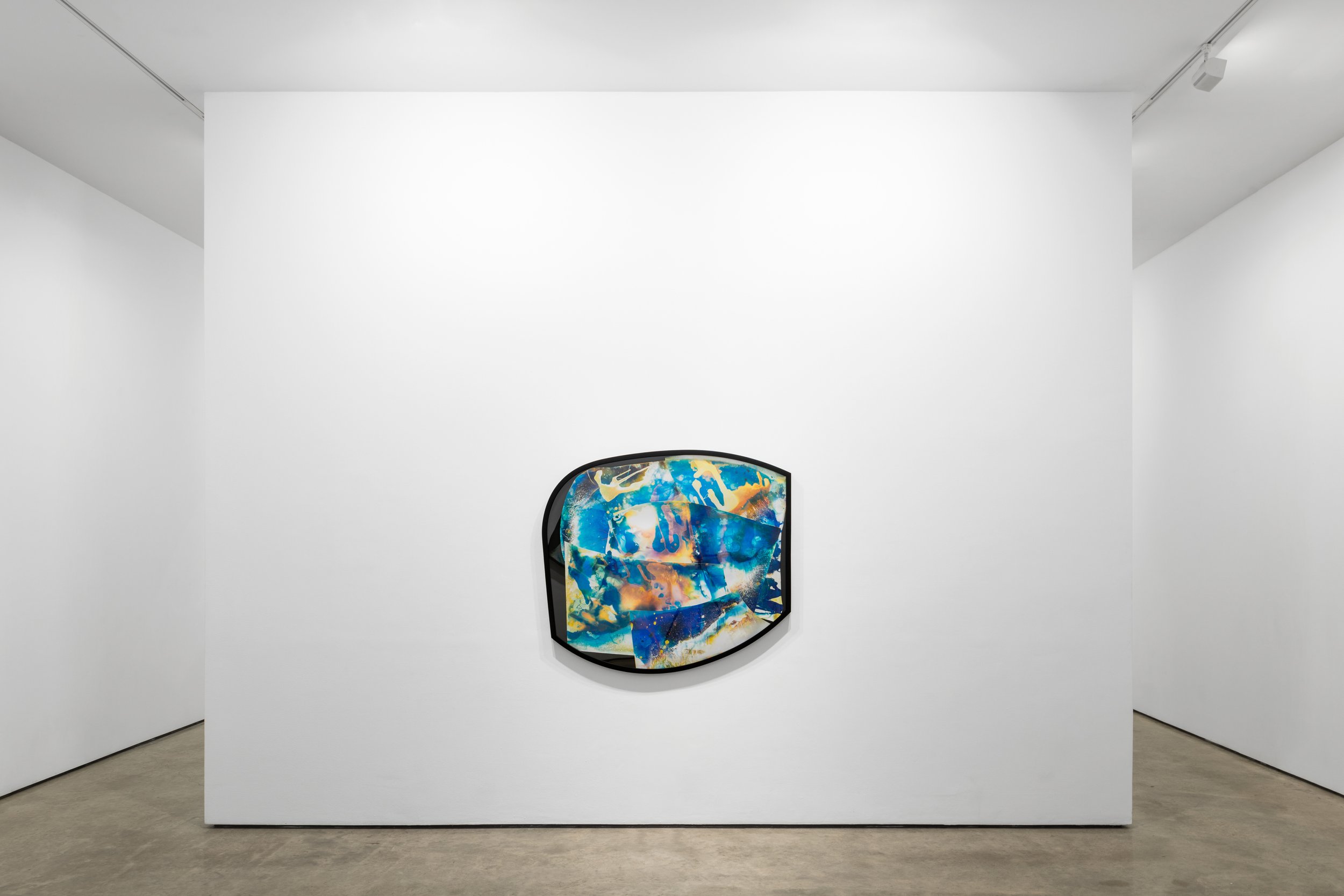  CUT UP, Lora Reynolds Gallery, Austin, TX, Mariah Robertson, photography, art  