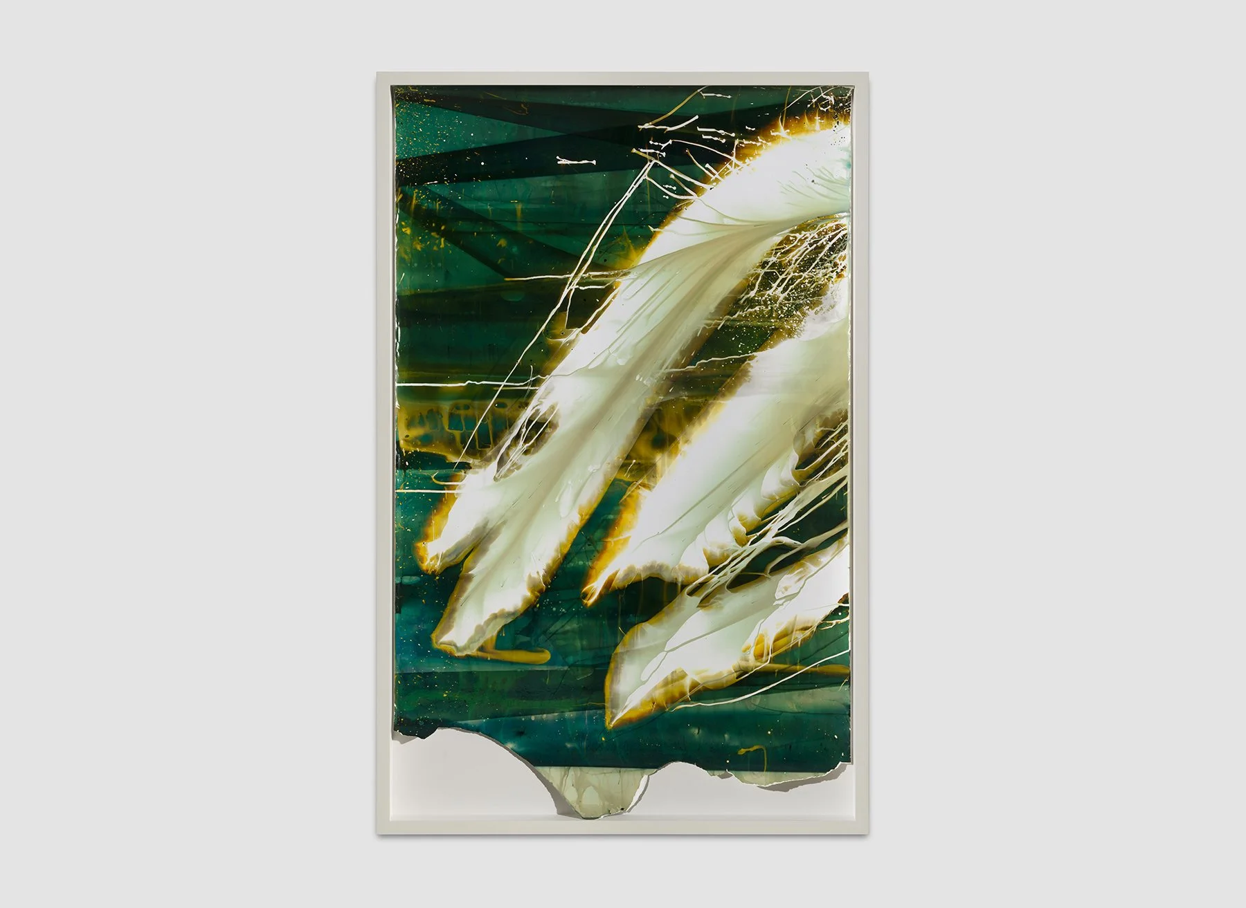  
"013" 2014-2021
 Chemical treatment on RA-4 paper in frame
 50 x 30 inches
 (127 x 76.2 cm)
 Book of Details, Van Doren Waxter, New York, NY, Mariah Robertson, photography, art  