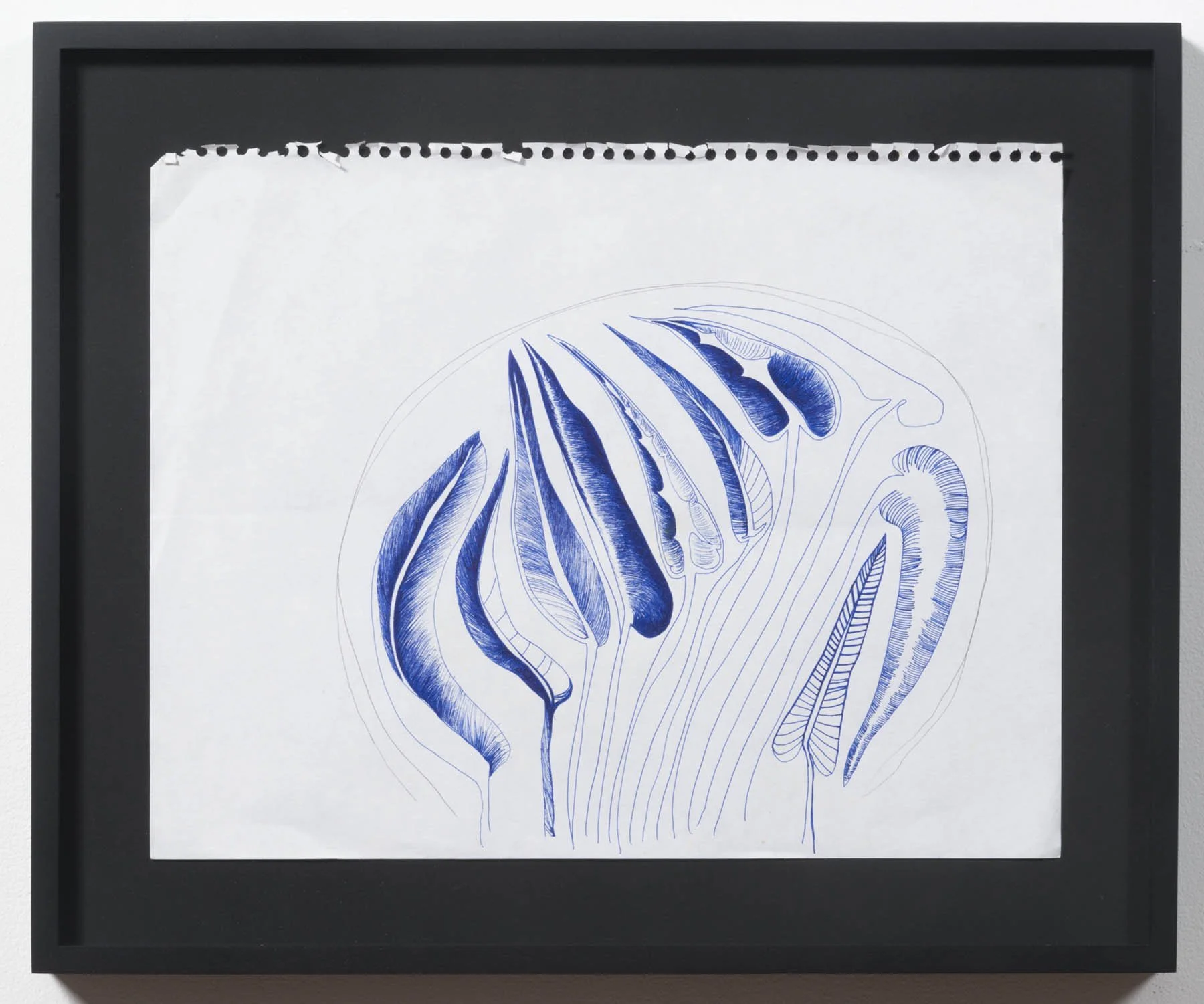 MariahRobertson_drawings.JPG