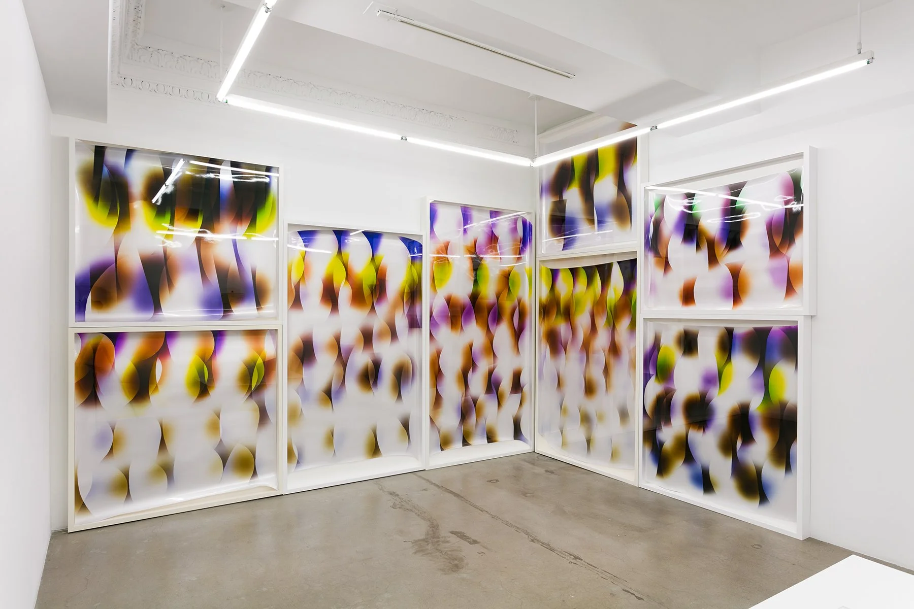  Chaos Power Center, 11R, New York, NY, Mariah Robertson, photography, art  