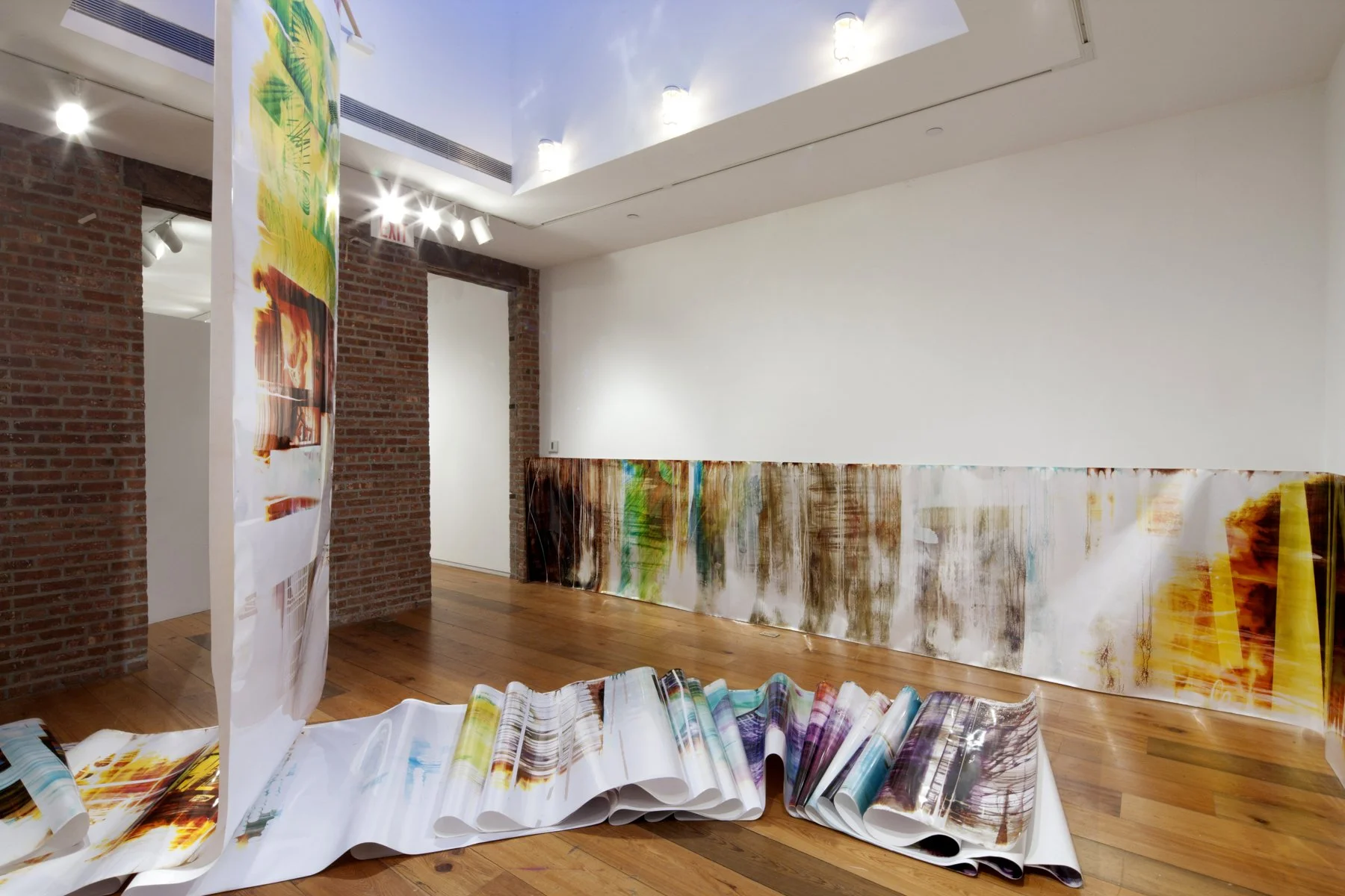  Hot Tropical Rain Jam, Museum52, New York, NY, Mariah Robertson, photography, art  