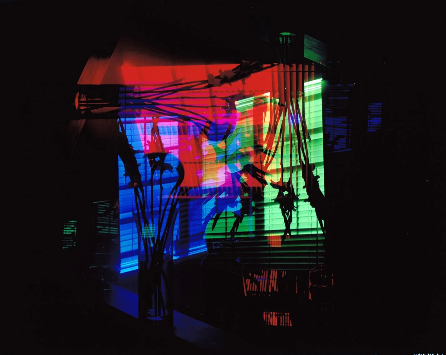  
RGB Gladiolas Window #2, 2006
 C-print 
 20 x 24 inches
 (51 x 61 cm)   Mariah Robertson, photography, art  
