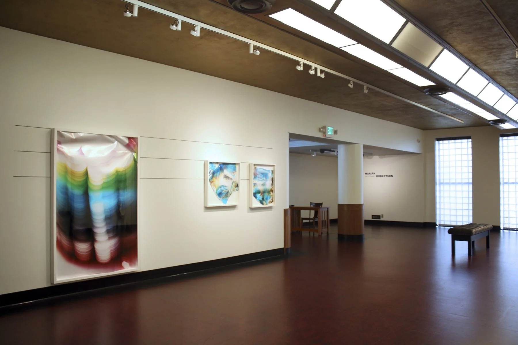  Swope Art Museum, Terre Haute, IN, Mariah Robertson, photography, art  
