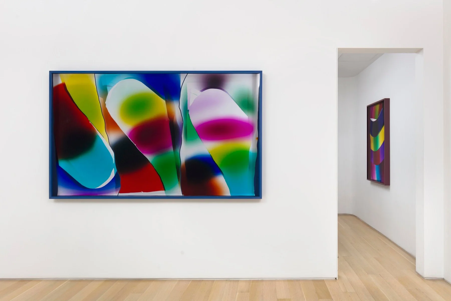  Repetition and Difference, Van Doren Waxter, New York, NY, Mariah Robertson, photography, art  