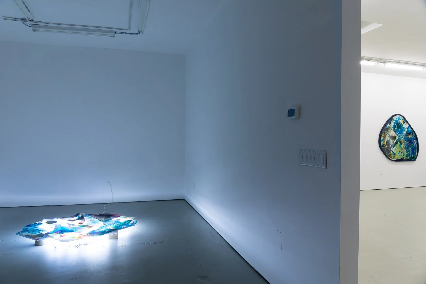  Eggs, Green Gallery, Milwaukee, WI, Mariah Robertson, photography, art  