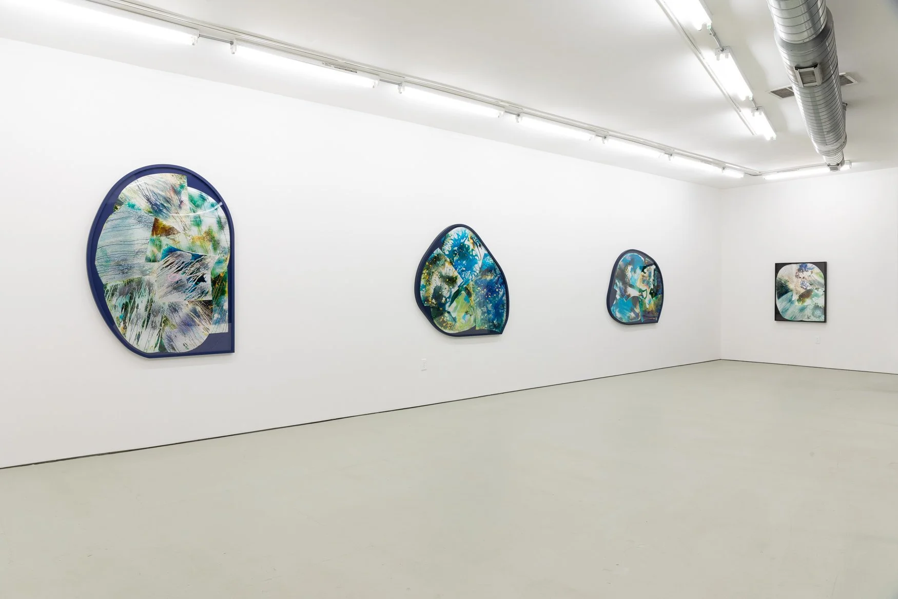  Eggs, Green Gallery, Milwaukee, WI, Mariah Robertson, photography, art  