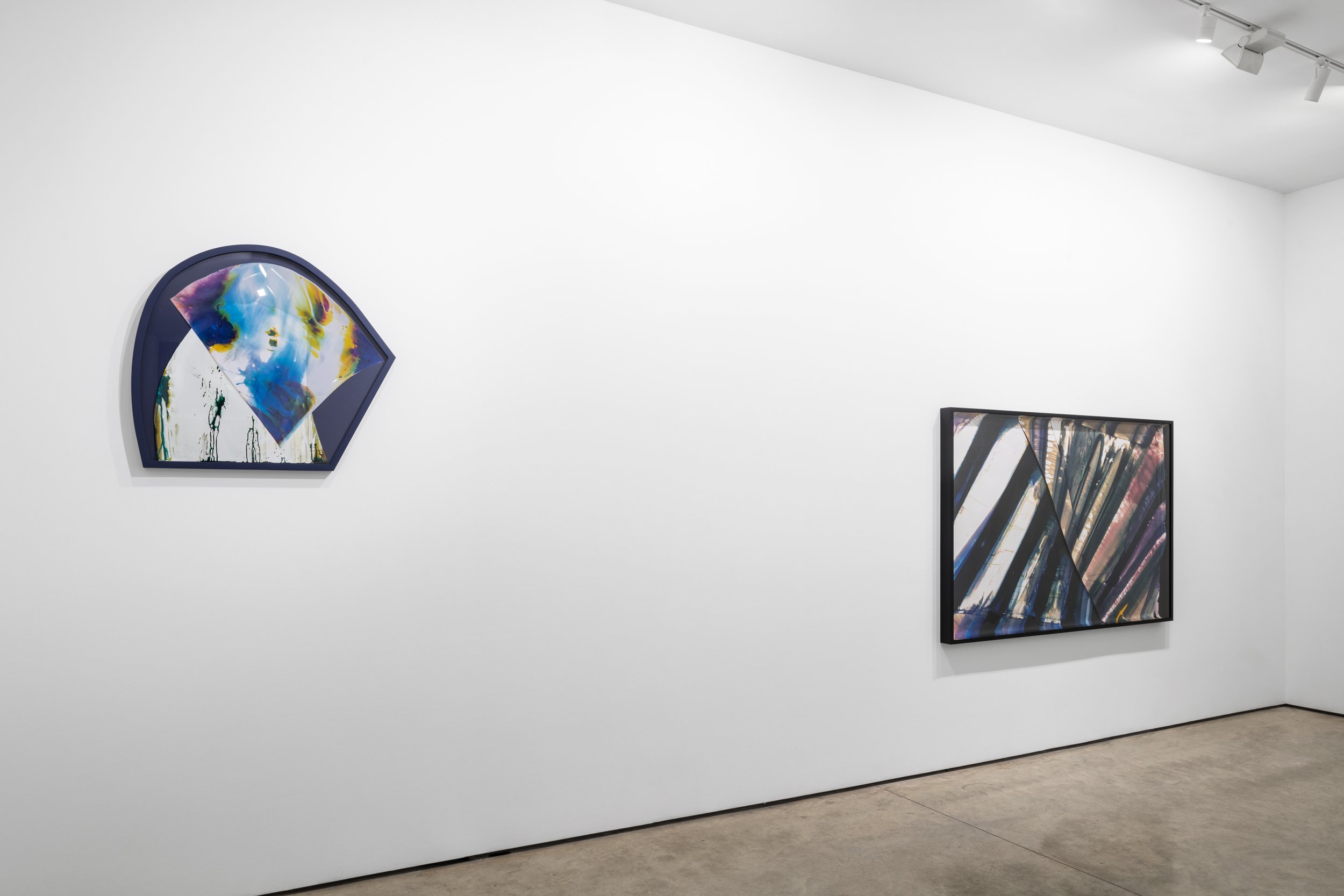  CUT UP, Lora Reynolds Gallery, Austin, TX, Mariah Robertson, photography, art  