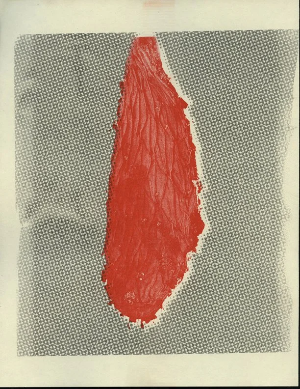 MariahRoberson_Risographs.jpg