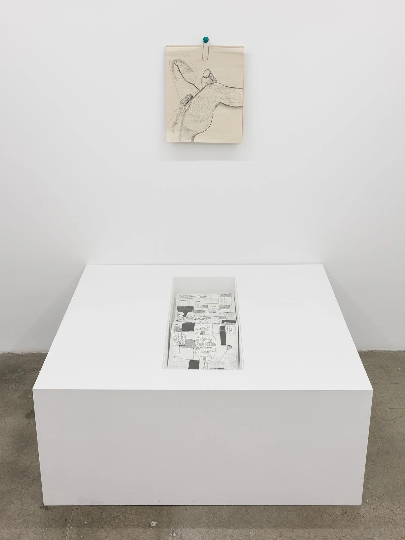  Chaos Power Center, 11R, New York, NY, Mariah Robertson, photography, art  
