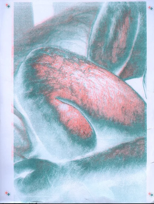 MariahRoberson_Risographs.jpg