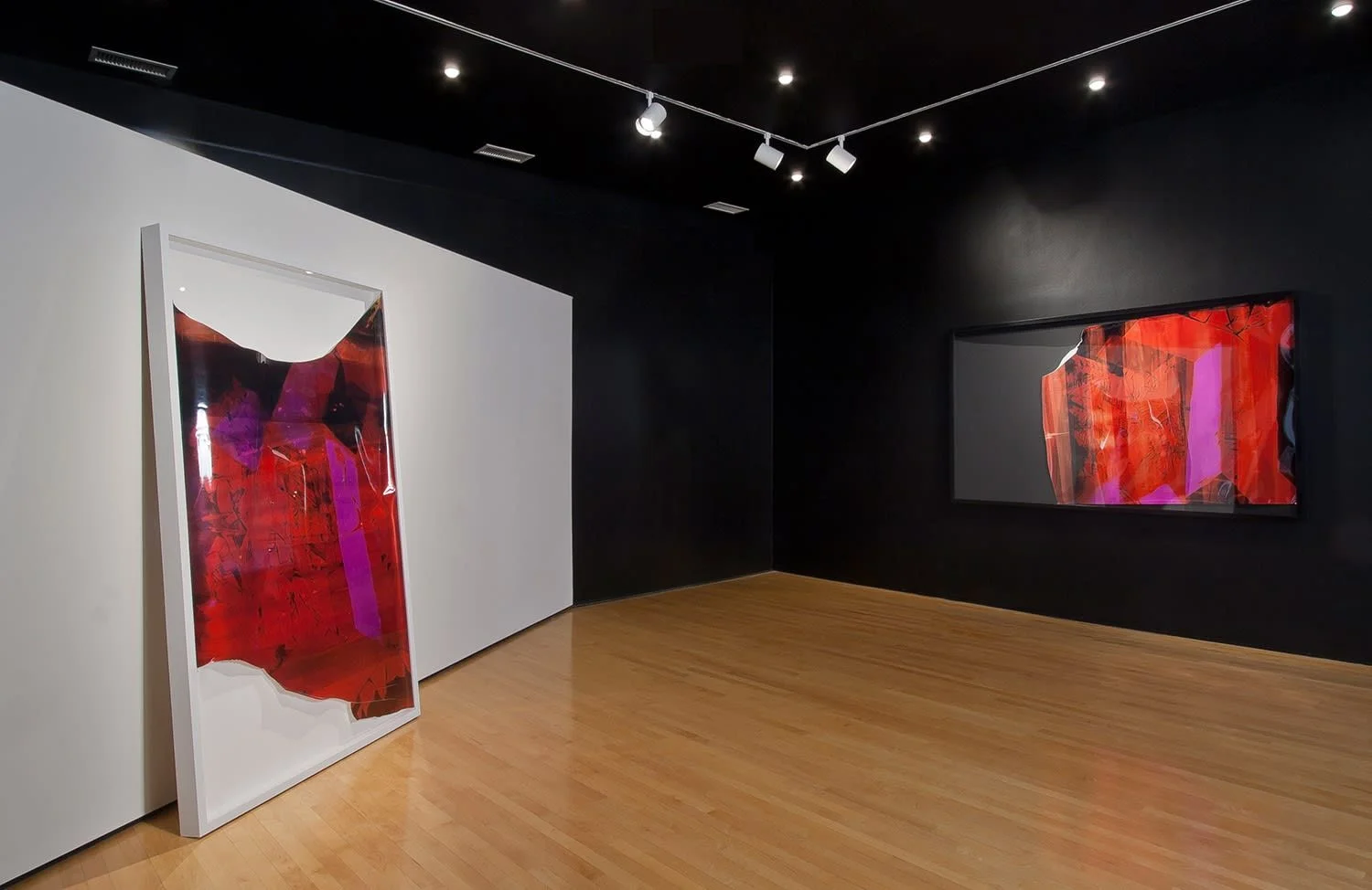  Let’s Change, Grand Arts, Kansas City, MO, Mariah Robertson, photography, art  