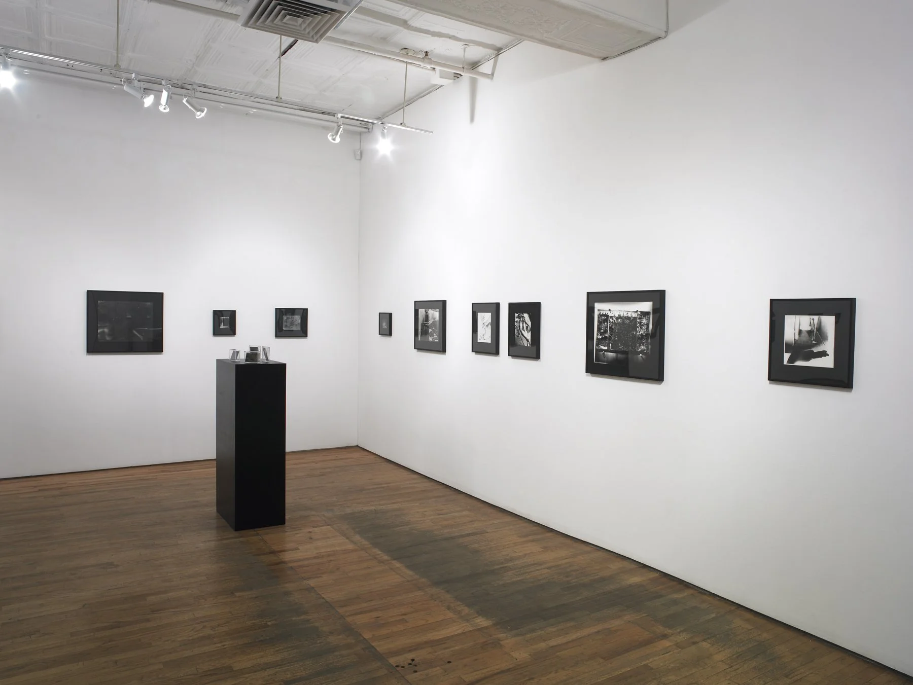  Nudes, Still Lives and Landscapes, Guild & Greyshkul, New York, NY, Mariah Robertson, photography, art  