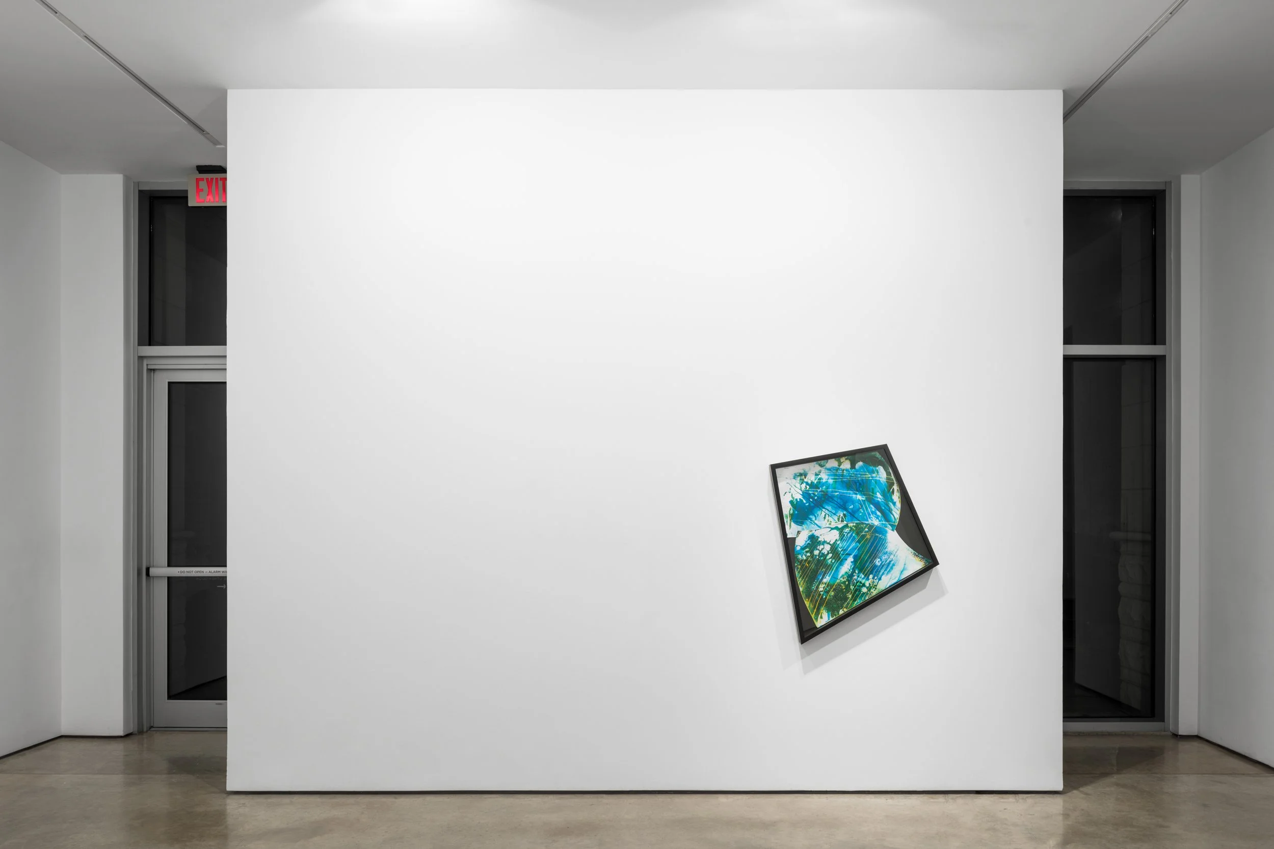 CUT UP, Lora Reynolds Gallery, Austin, TX, Mariah Robertson, photography, art  