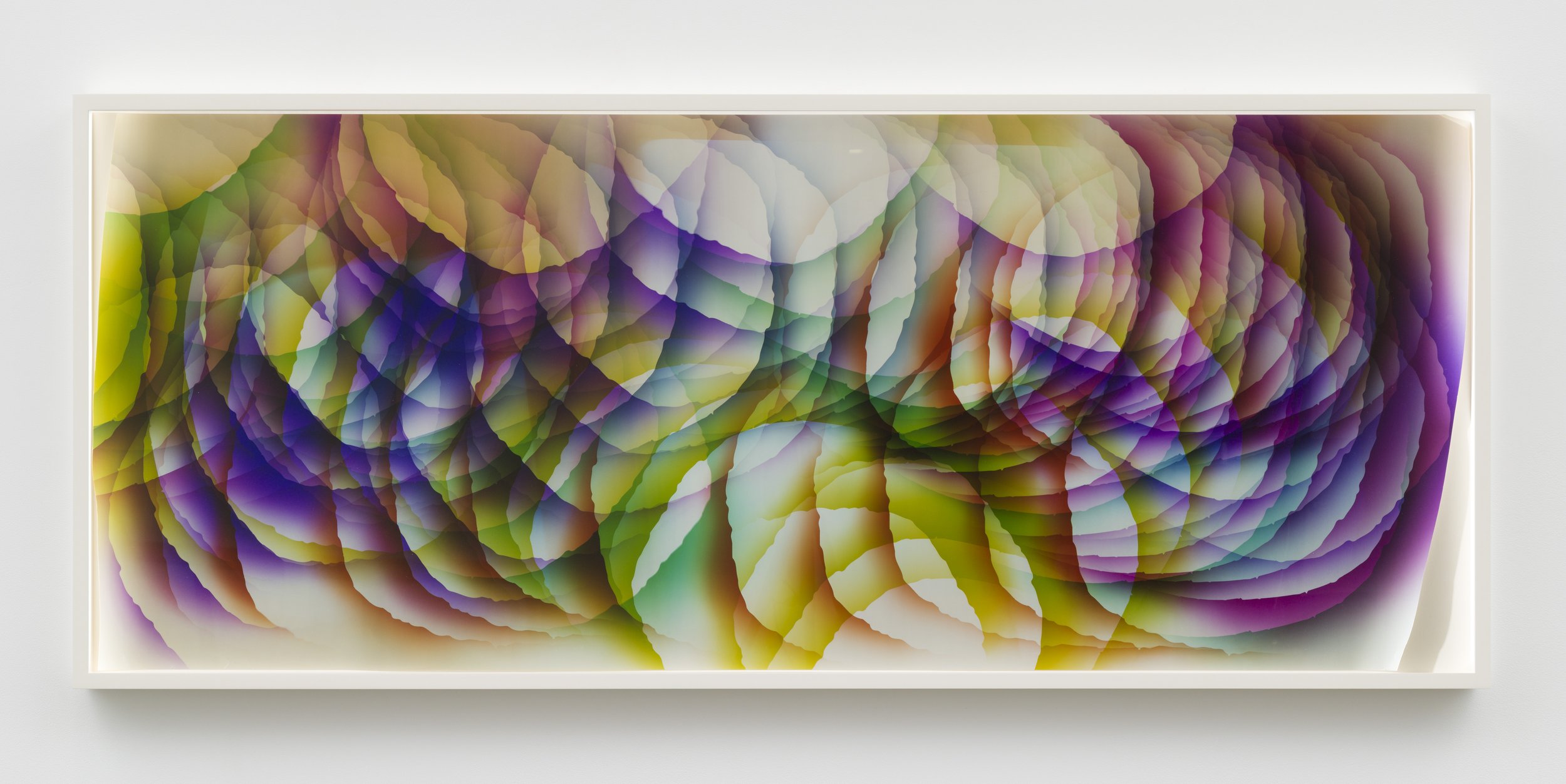 073, 2022
Unique C-Print
74 x 30 inches
(188 x 76 cm)
Mariah Robertson, photography, art