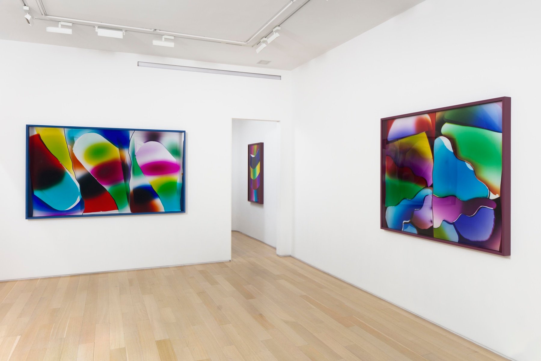  Repetition and Difference, Van Doren Waxter, New York, NY, Mariah Robertson, photography, art  