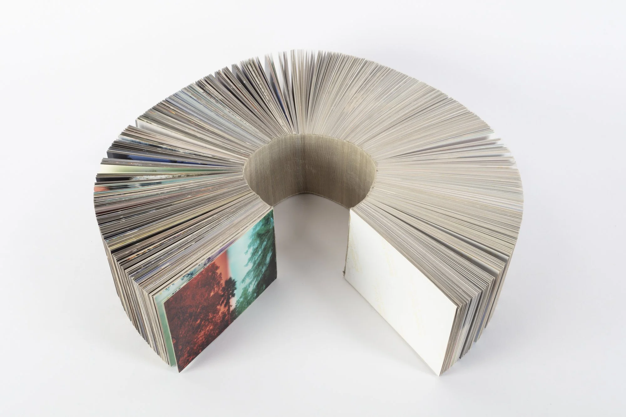 MariahRobertson_Book_sculpture.jpg