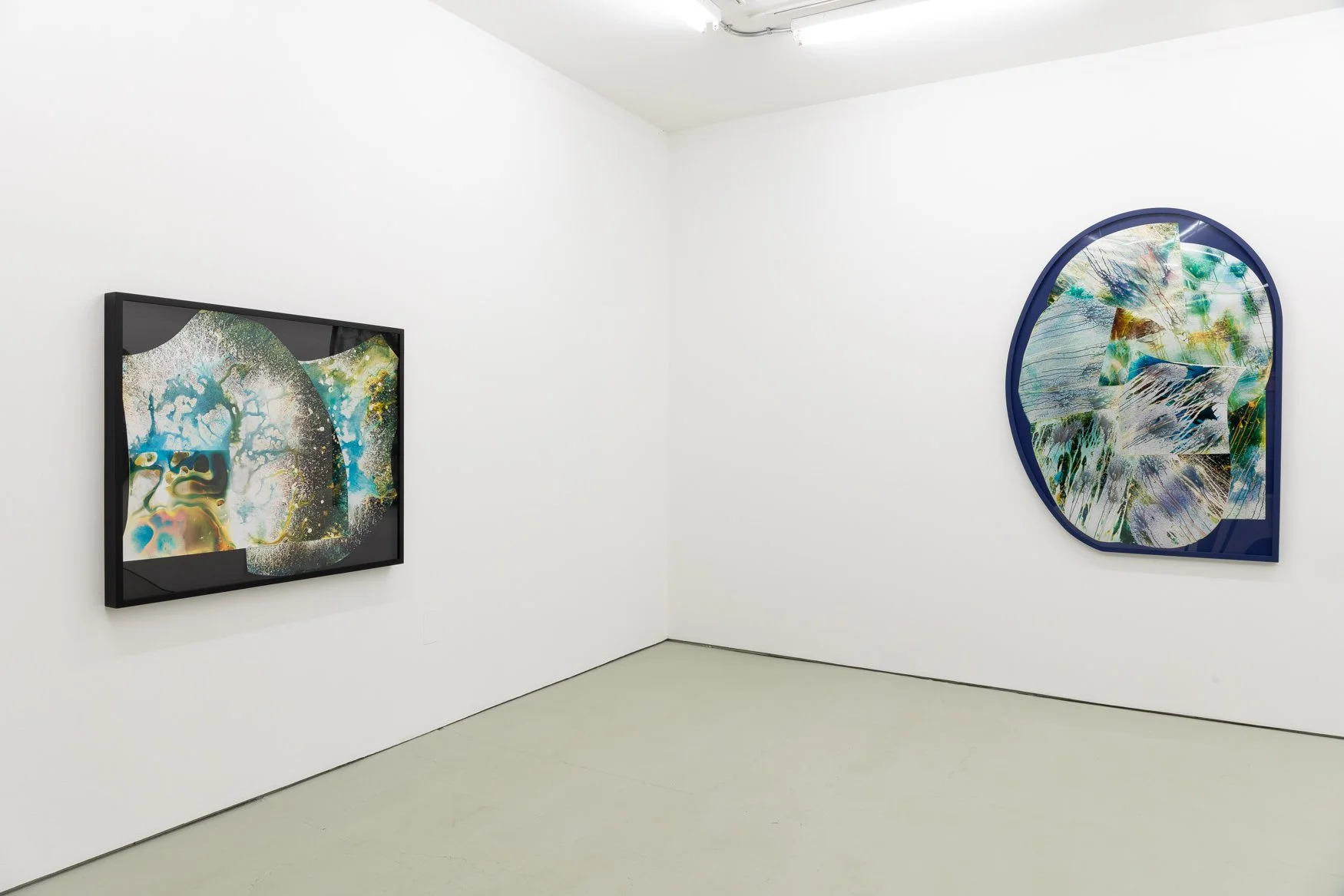  Eggs, Green Gallery, Milwaukee, WI, Mariah Robertson, photography, art  